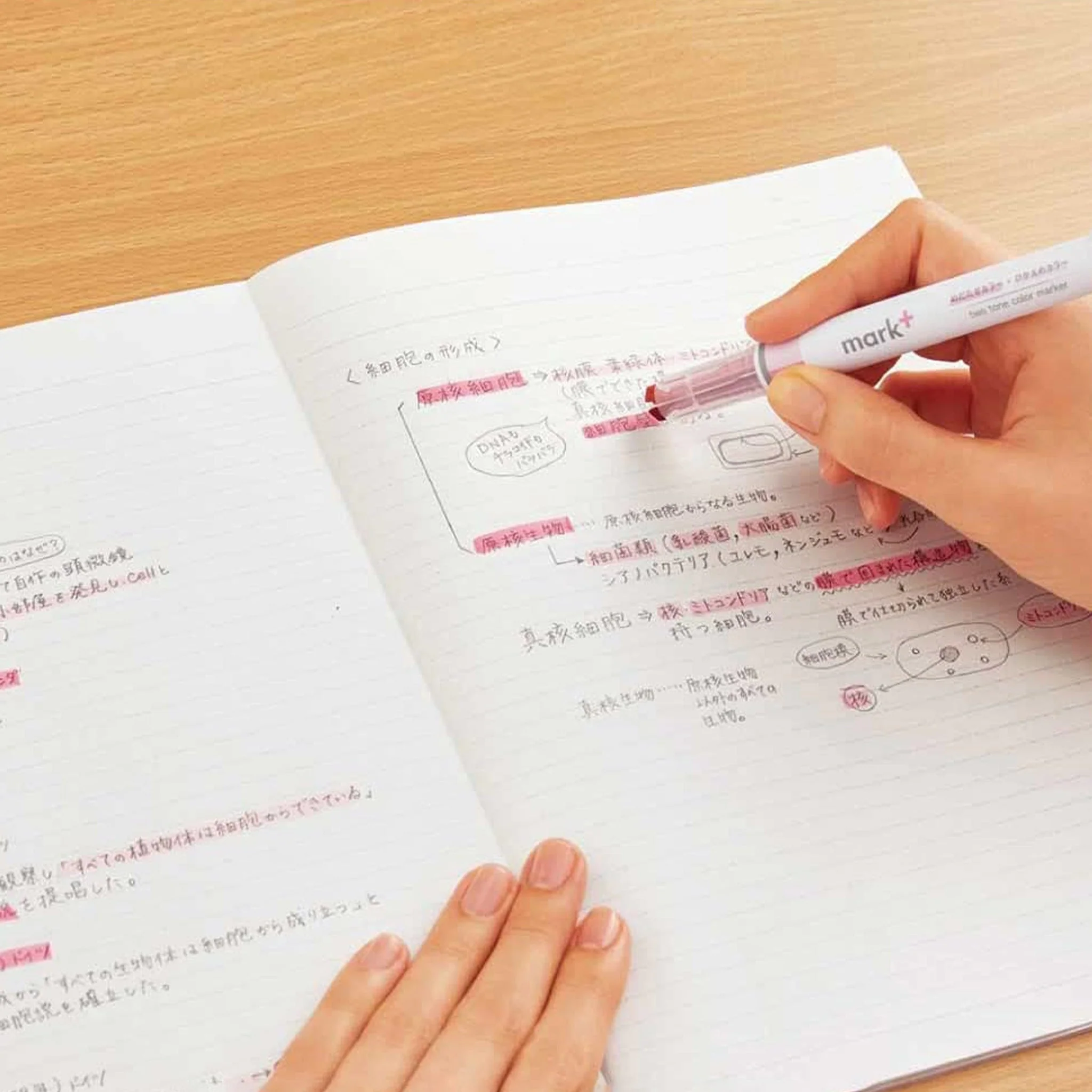 Marktus Dual Tone Color Highlighter Set / KOKUYO - Image 7