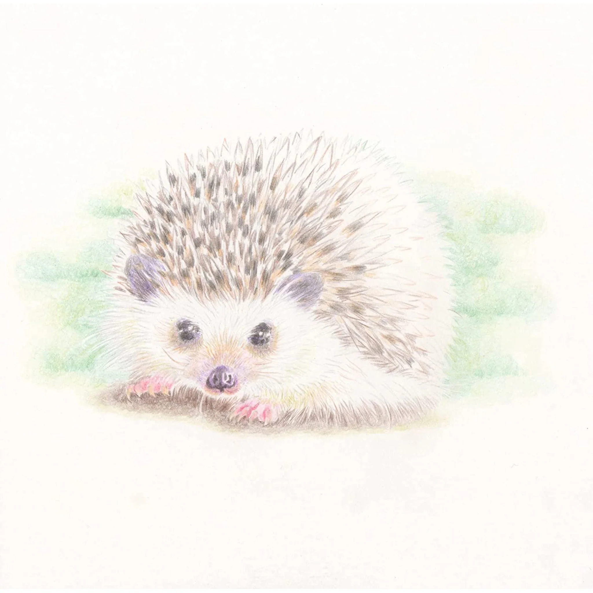 24 Color Pencils CB-NQ 24C / Tombow - Image 3