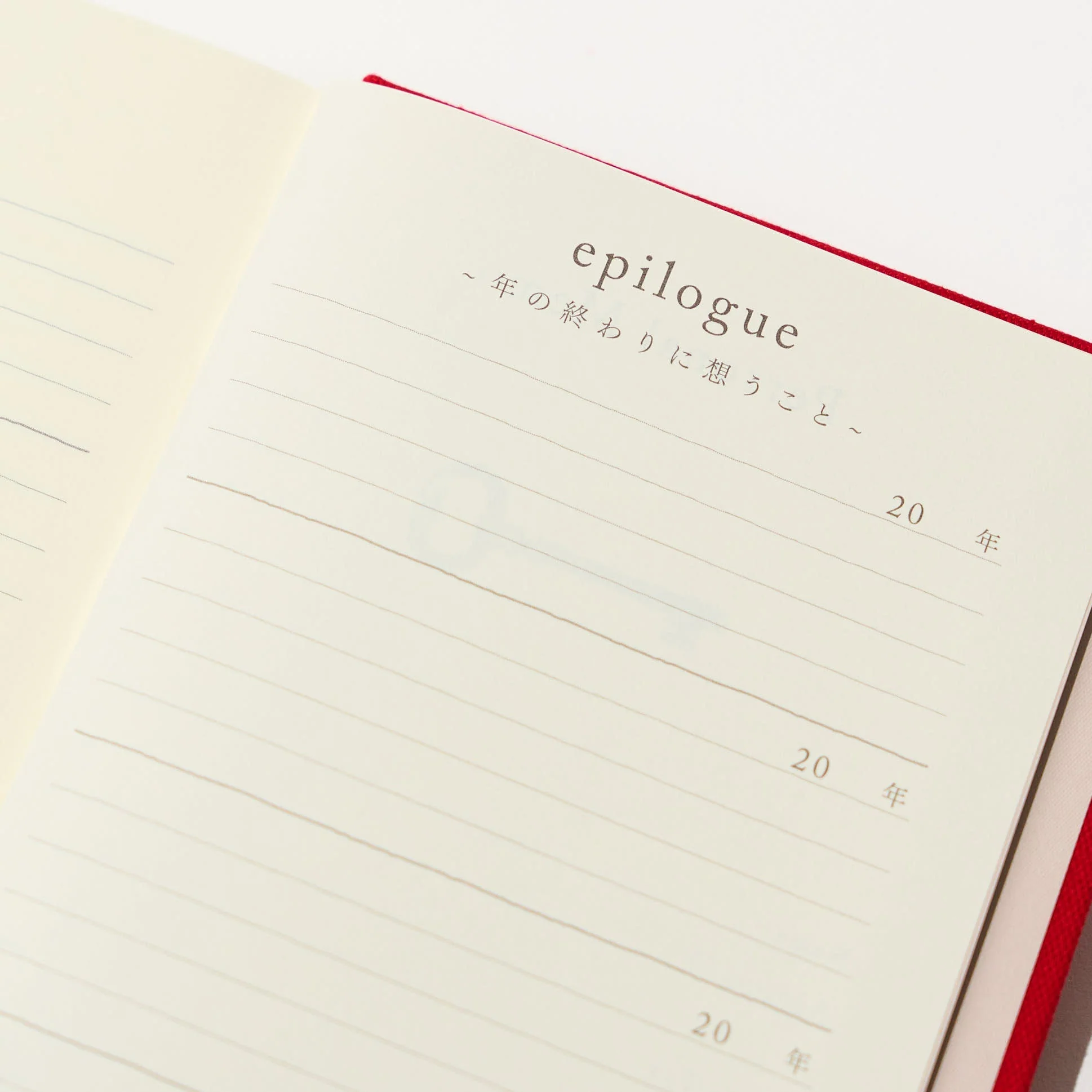 3 and 5 Year "Door" Series Diary / MIDORI - Image 7