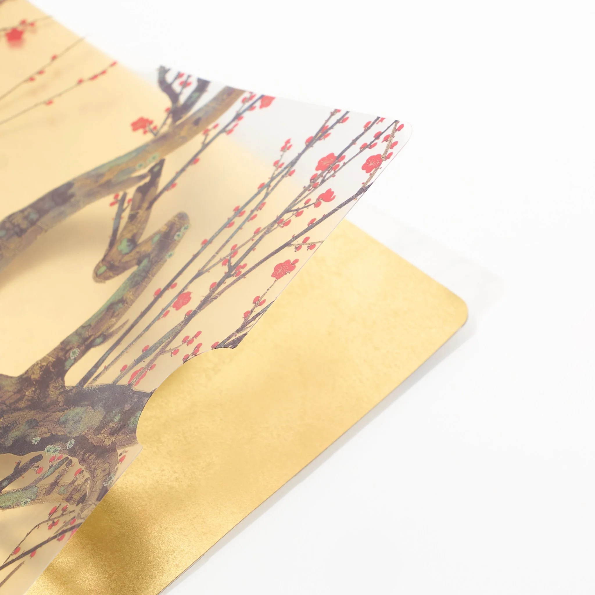 Red and White Plum Blossoms Gold Leaf A4 Clear File  / Benrido - Image 3