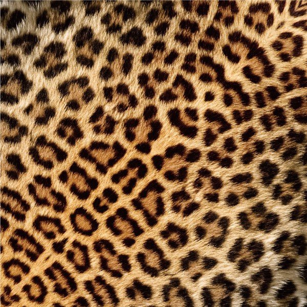 African Savannah Animal Origami Sets / Marumo Printing - Image 11
