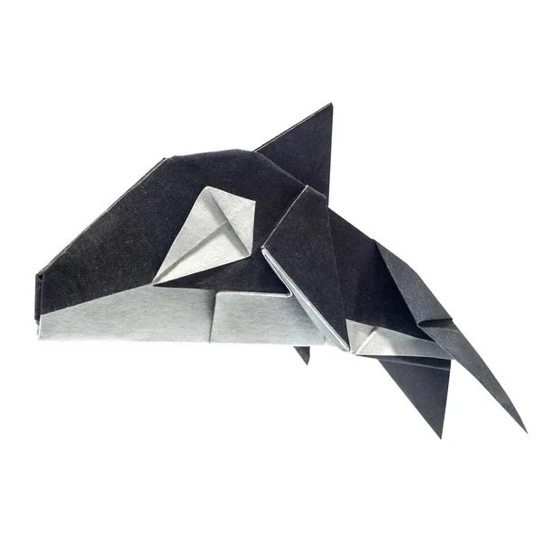 Arctic and Antartic Animal Origami Sets / Marumo Printing - Image 10
