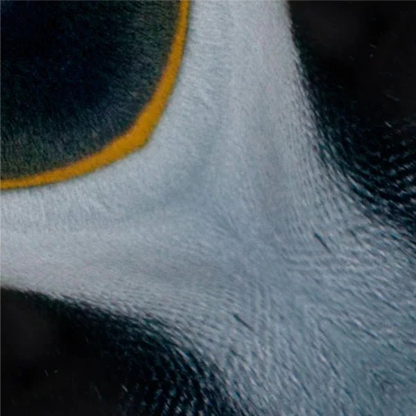 Arctic and Antartic Animal Origami Sets / Marumo Printing - Image 3