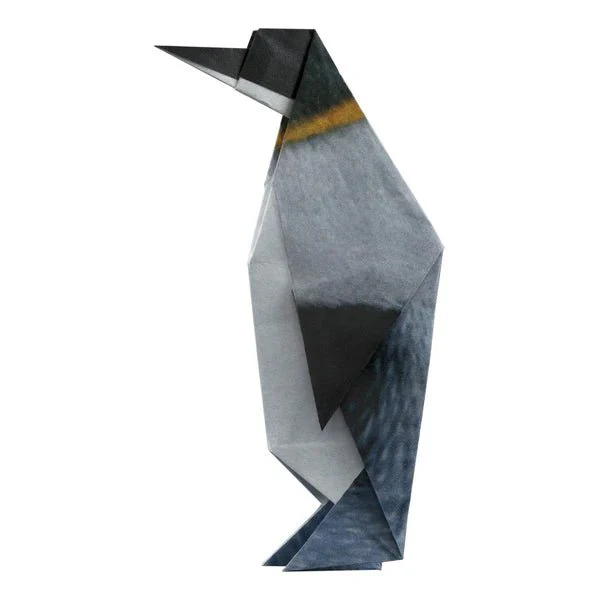 Arctic and Antartic Animal Origami Sets / Marumo Printing - Image 4