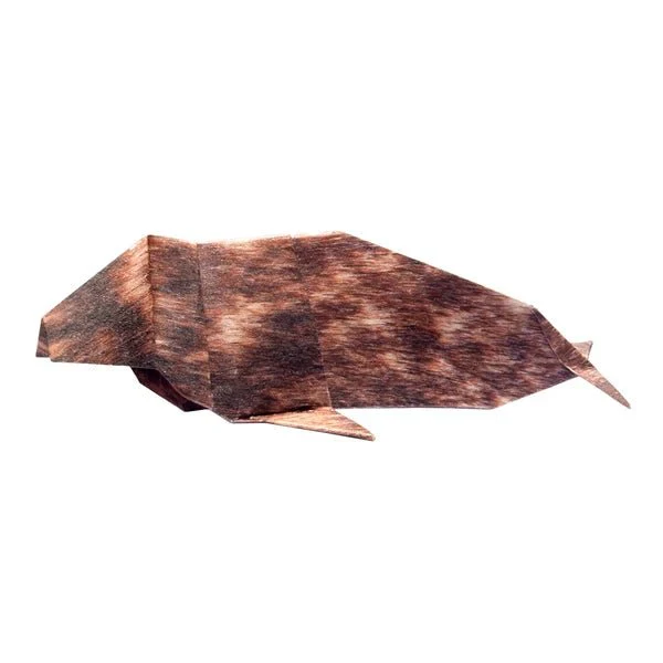 Arctic and Antartic Animal Origami Sets / Marumo Printing - Image 6