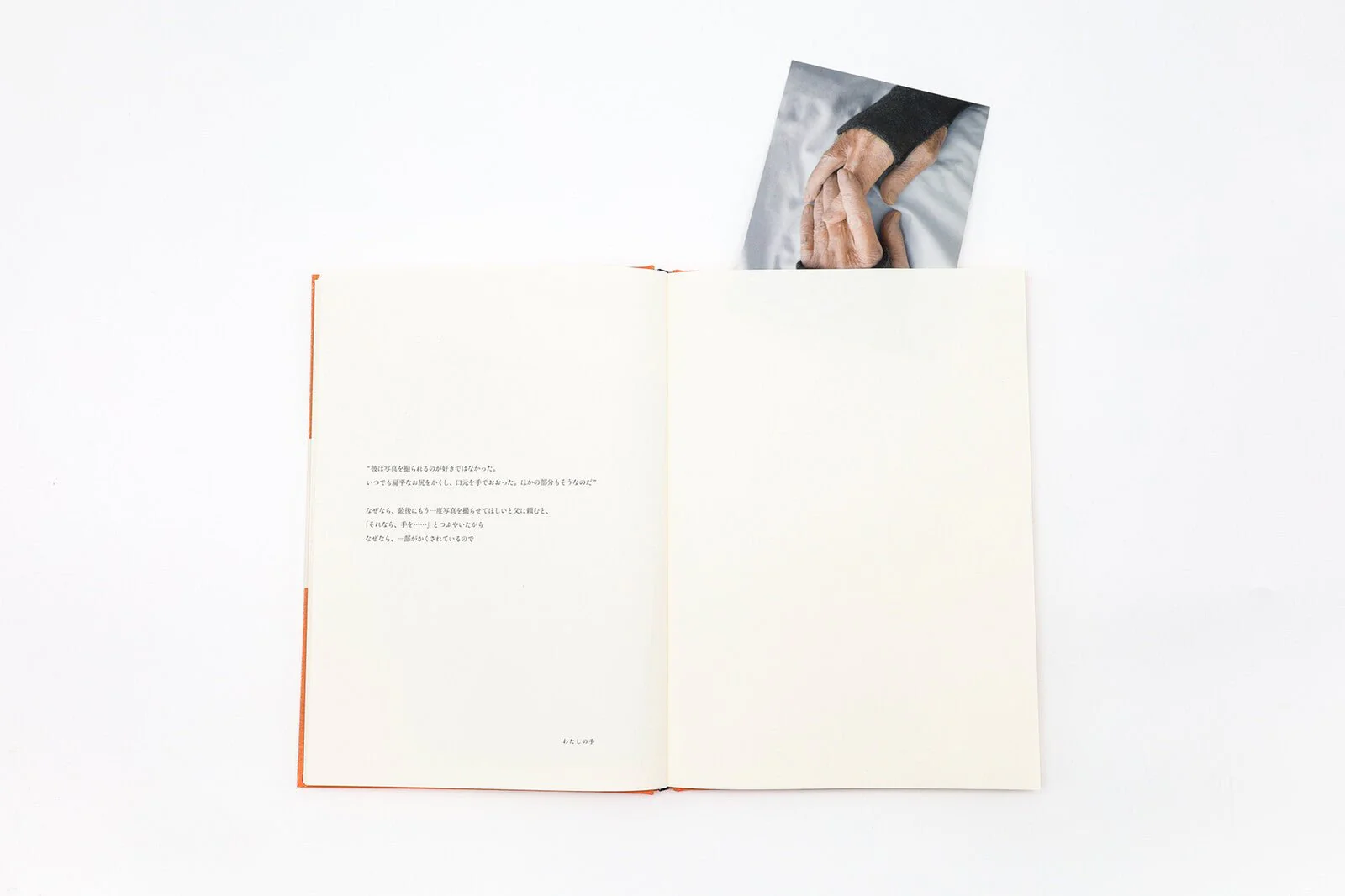 Because / Seigensha - Image 5
