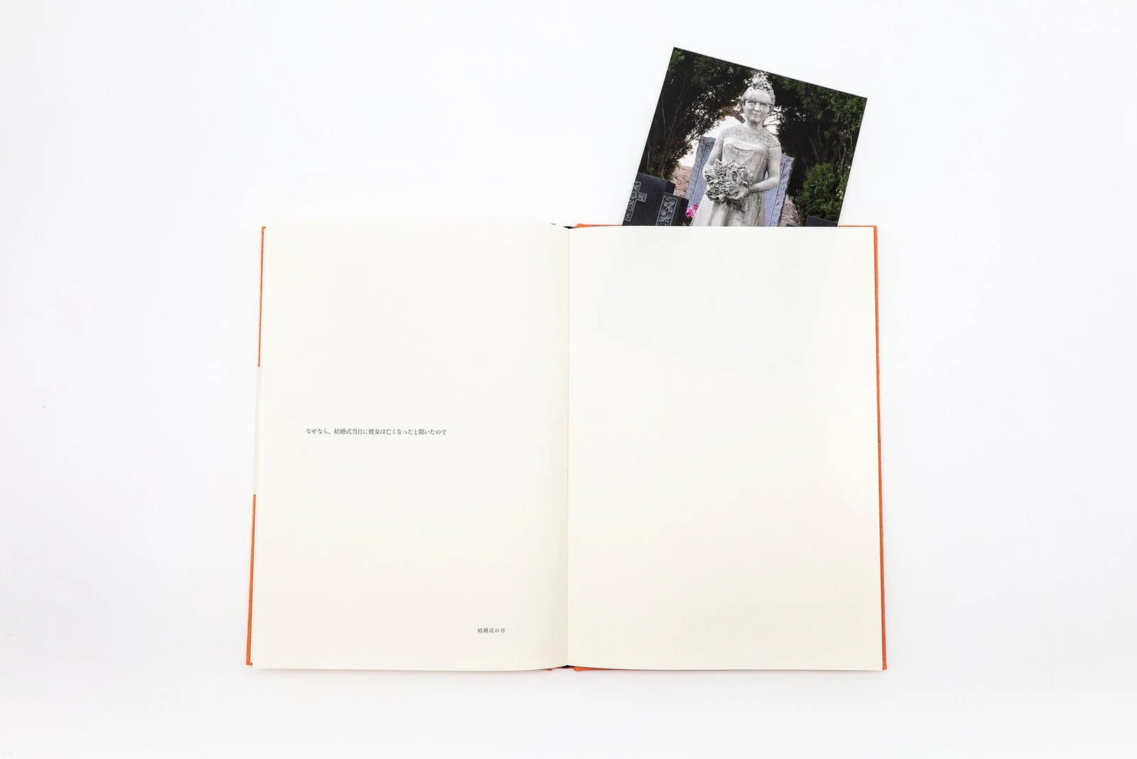 Because / Seigensha - Image 6