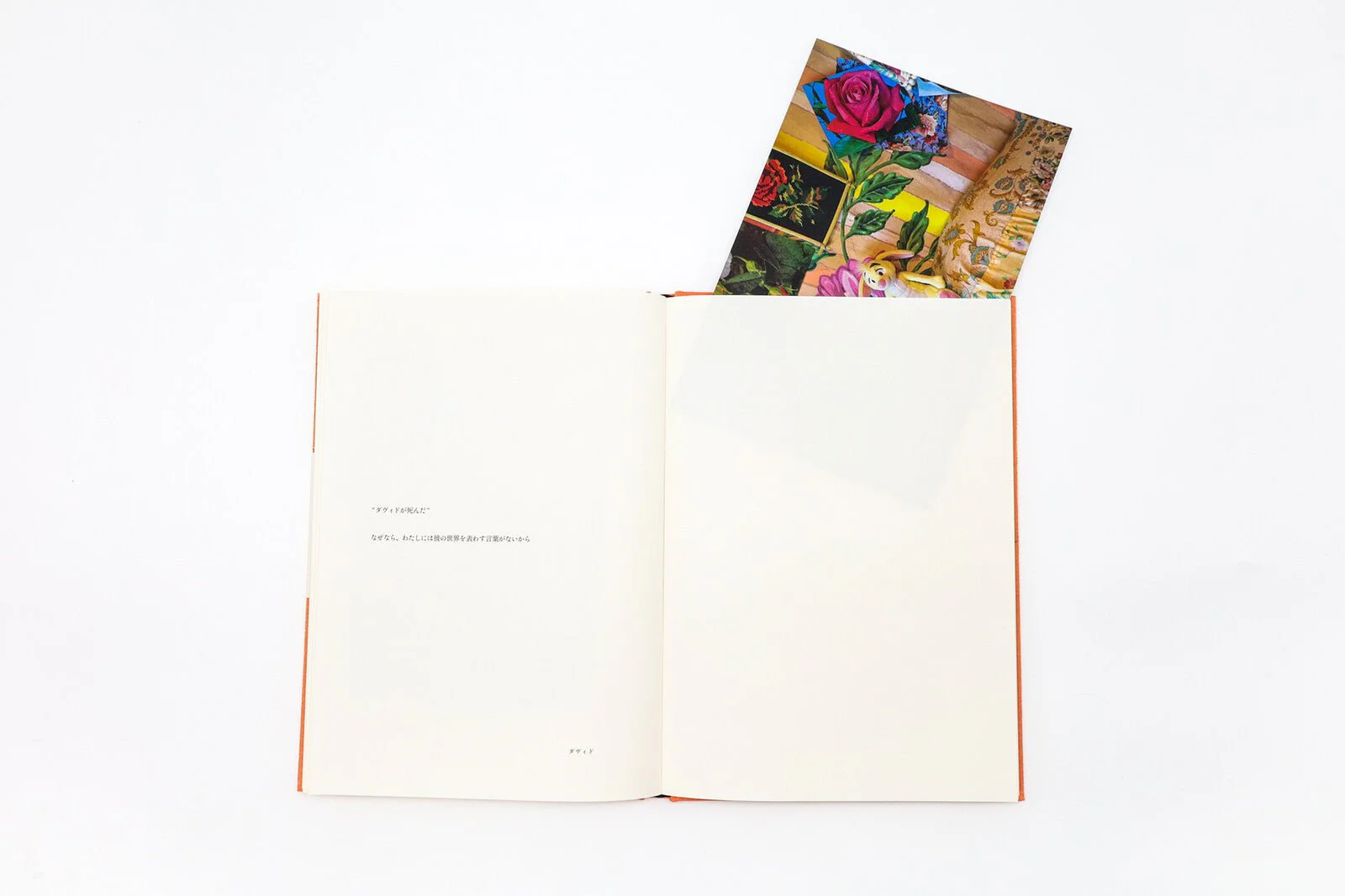 Because / Seigensha - Image 7