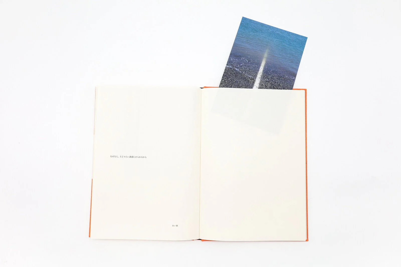 Because / Seigensha - Image 9