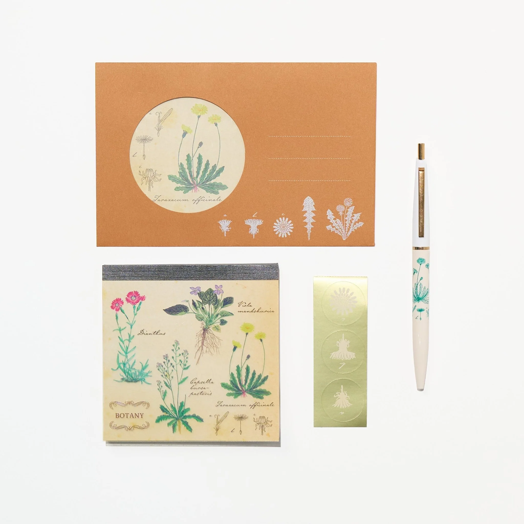 Botany STUDY HOLIC Bundle / GreenFlash
