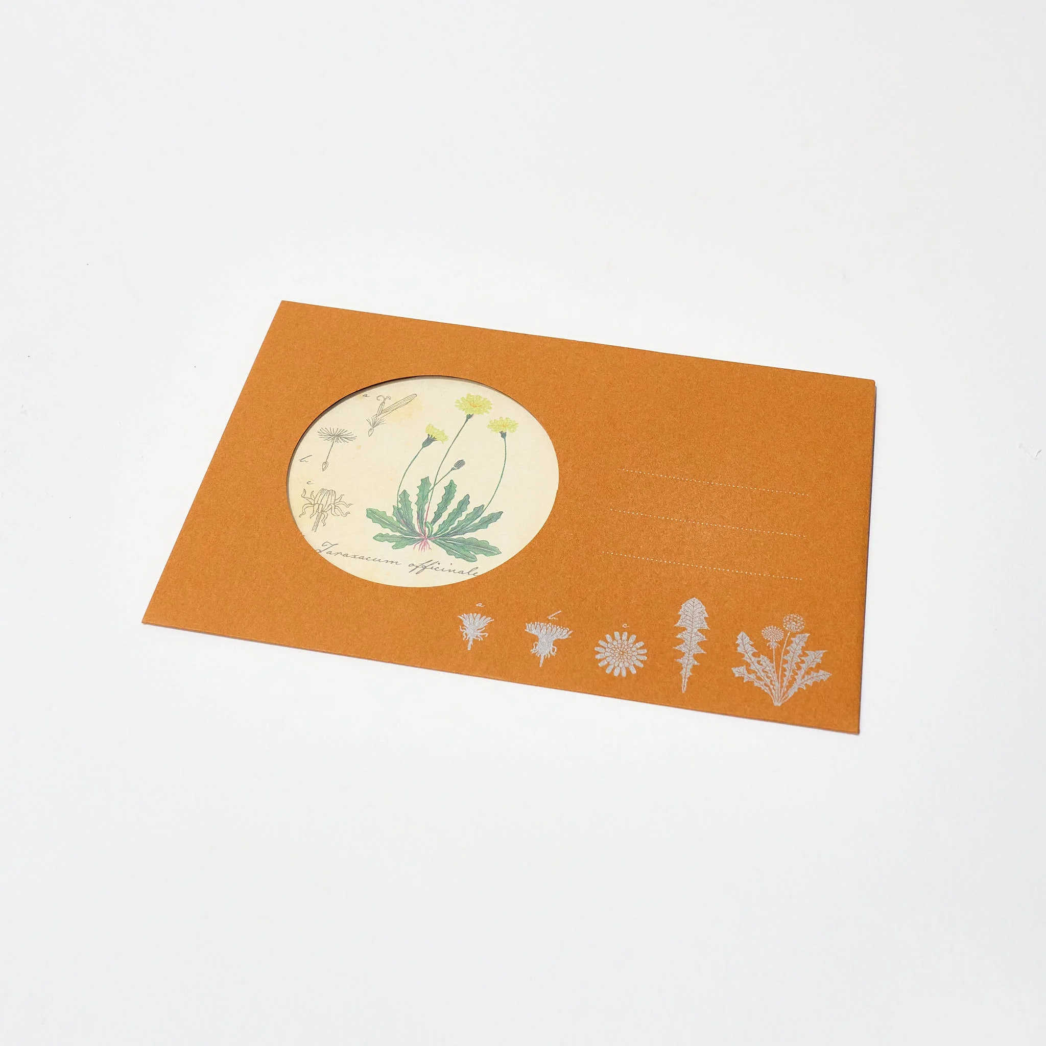STUDY HOLIC Letter Set / GreenFlash - Image 9