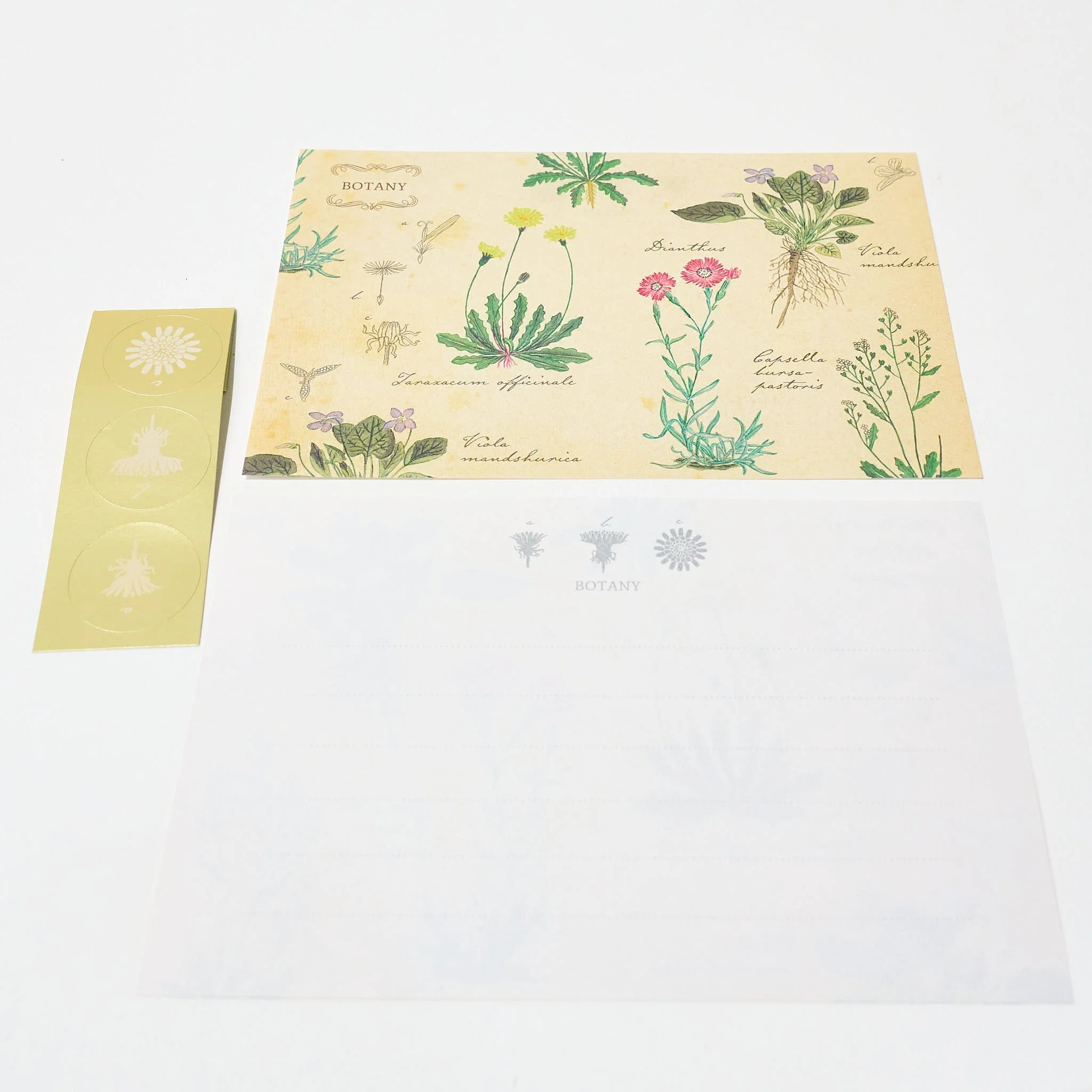 STUDY HOLIC Letter Set / GreenFlash - Image 10
