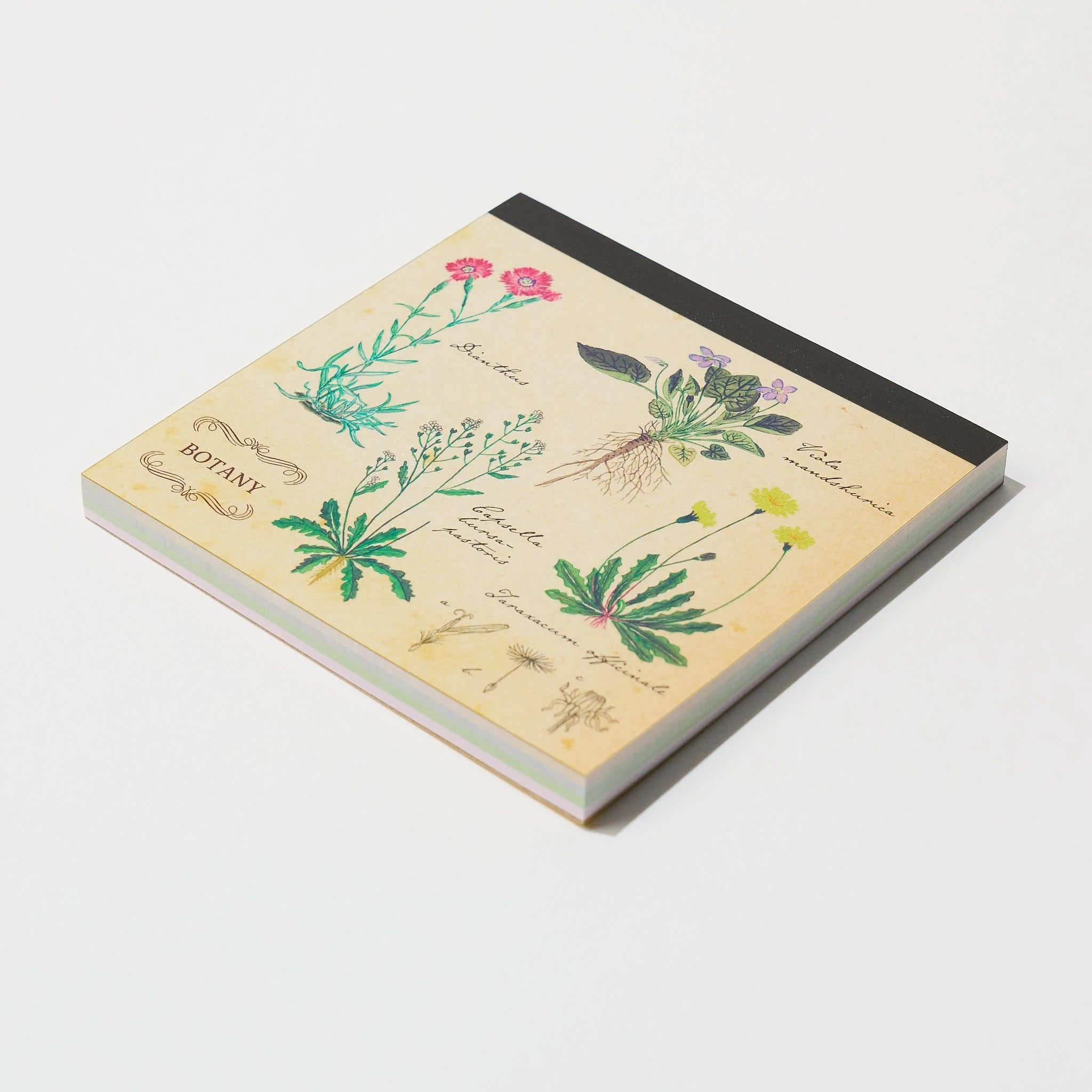 STUDY HOLIC Memo Pad Square / GreenFlash - Image 29