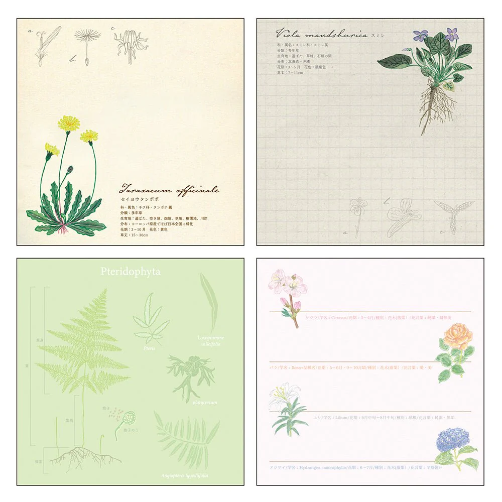 STUDY HOLIC Memo Pad Square / GreenFlash - Image 30