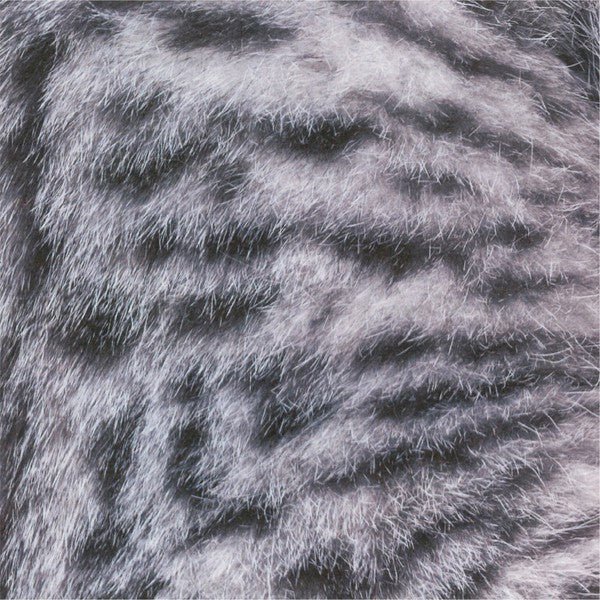 Cat Origami Set / Marumo Printing - Image 4
