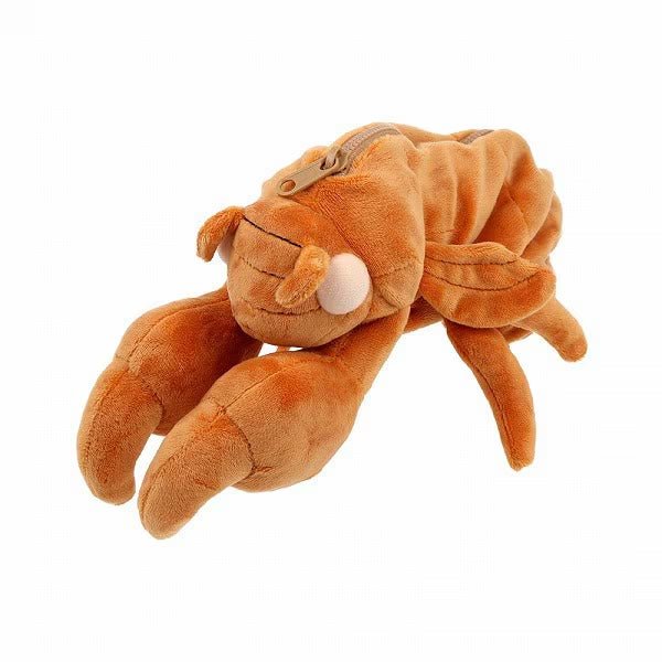 Cicada Shell Pen Case / Sun-Star