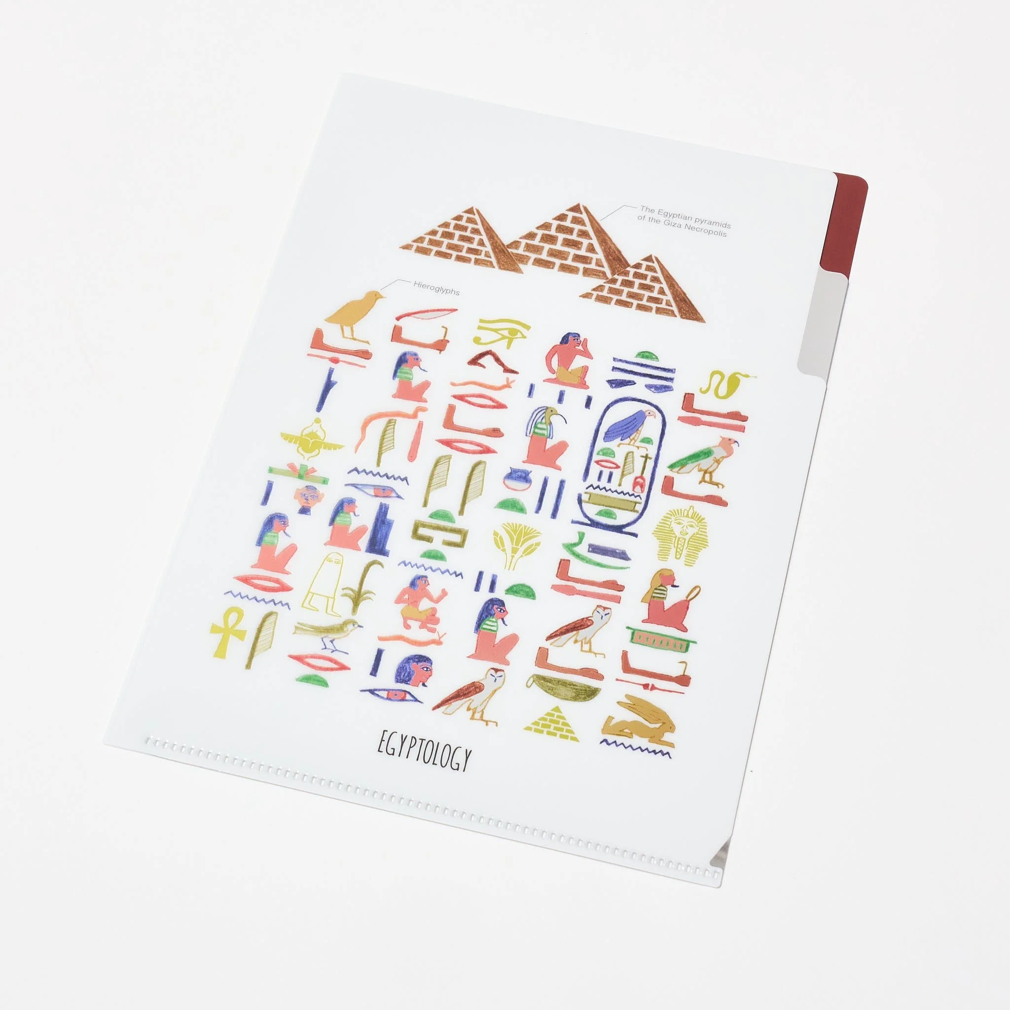 STUDY HOLIC A5 Pocket Clear File Folder / GreenFlash - Image 6