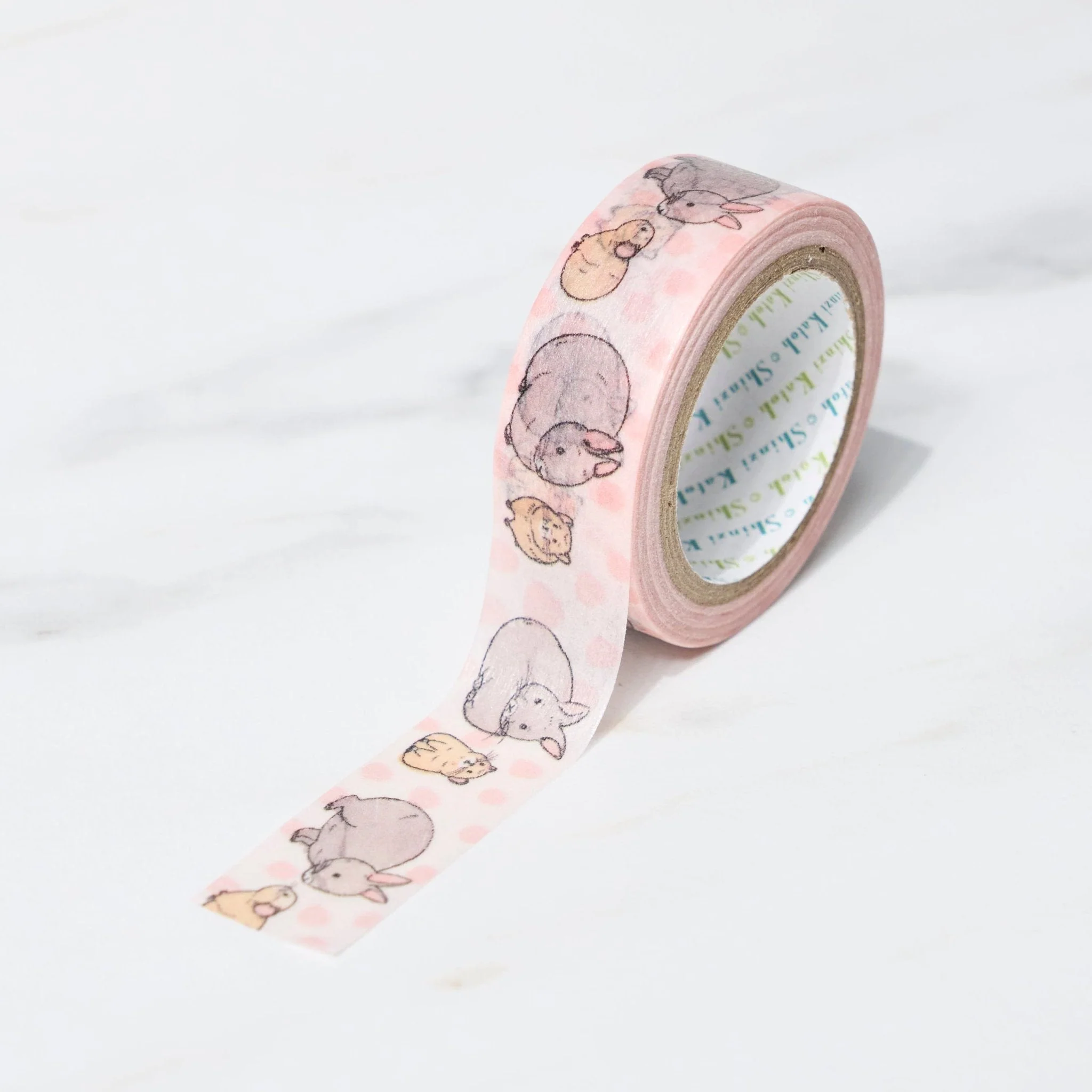 Endangered Species Masking Tape Shinzi Katoh / Seal Do - Image 8