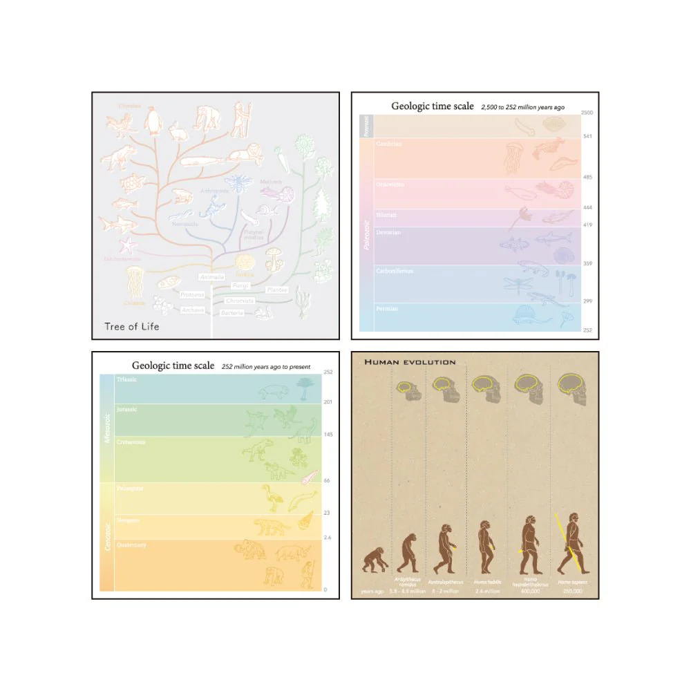 Evolutionary Biology STUDY HOLIC Bundle / GreenFlash - Image 10