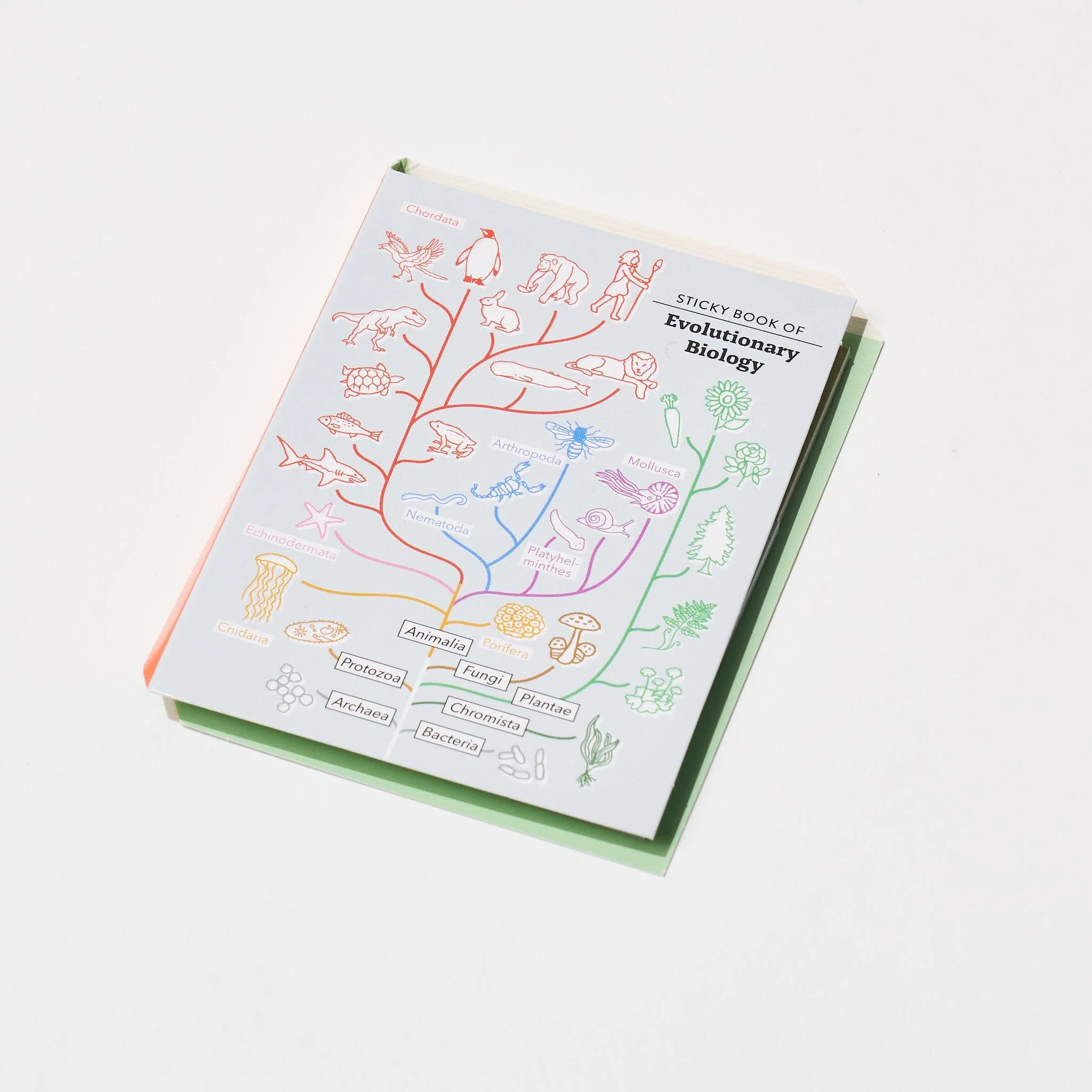 Evolutionary Biology STUDY HOLIC Bundle / GreenFlash - Image 11