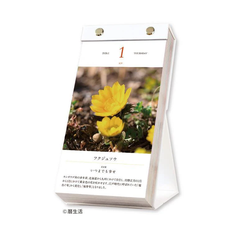 Flower Daily Calendar 2026 / Shin Nihon Calendar - Image 2