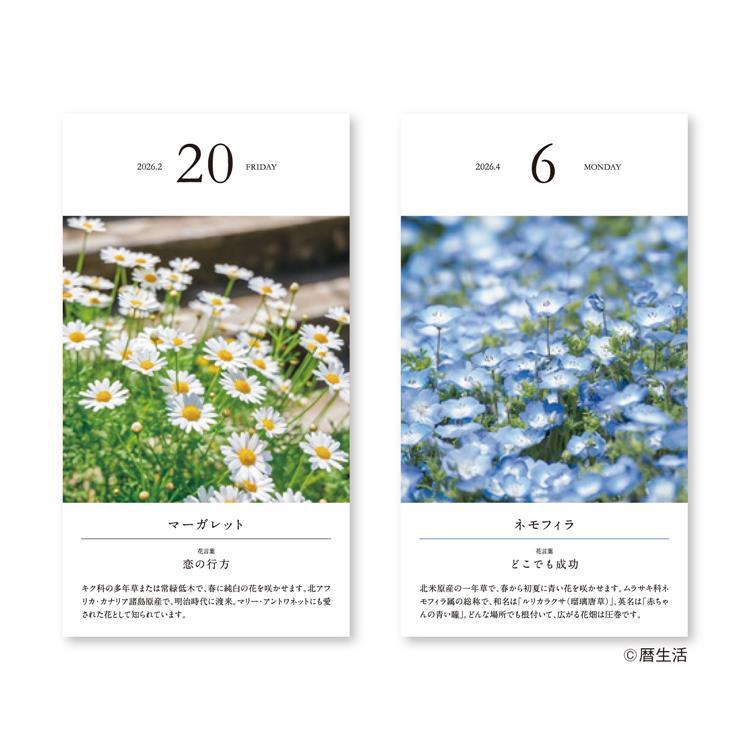 Flower Daily Calendar 2026 / Shin Nihon Calendar - Image 3