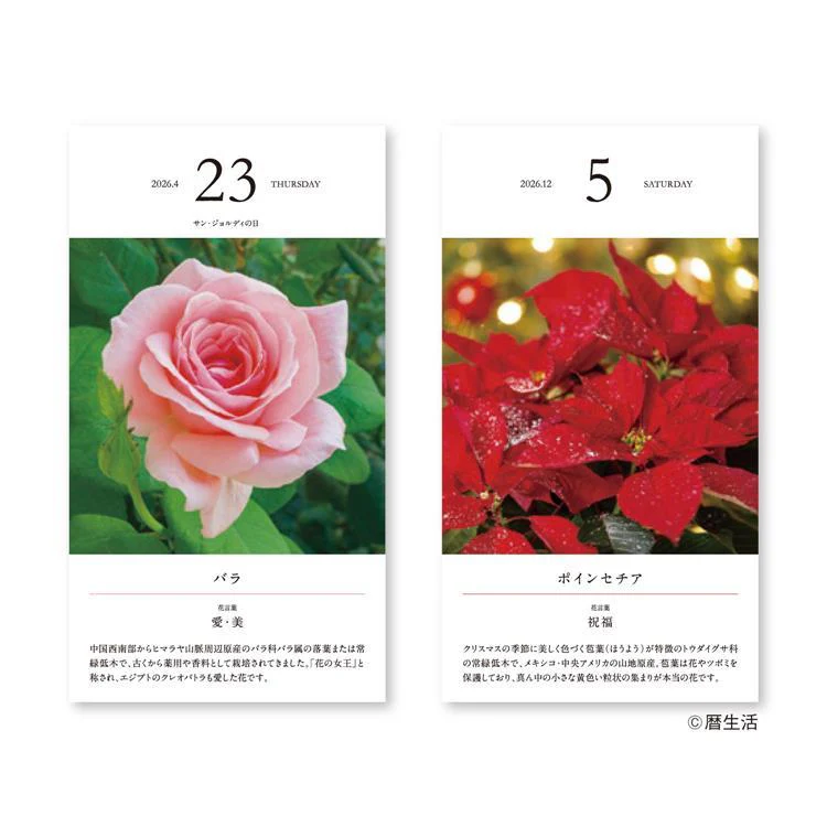 Flower Daily Calendar 2026 / Shin Nihon Calendar - Image 4