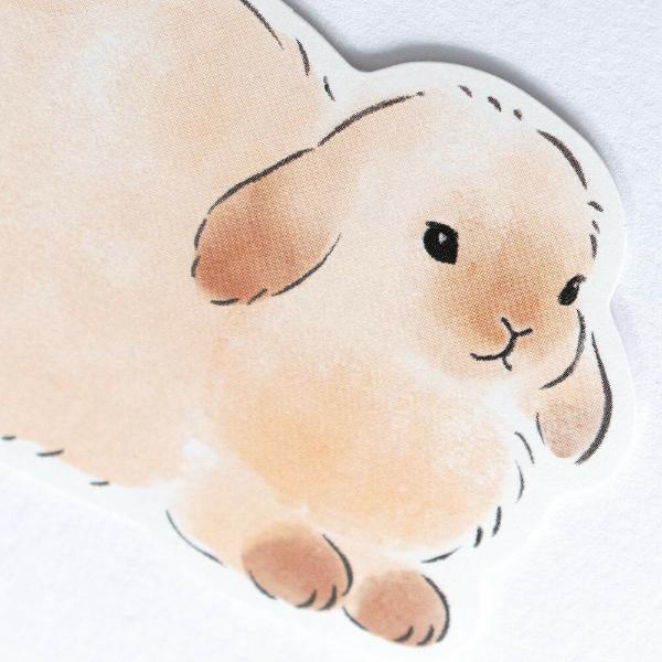 Funwaka Animal Message Cards / NB - Image 7