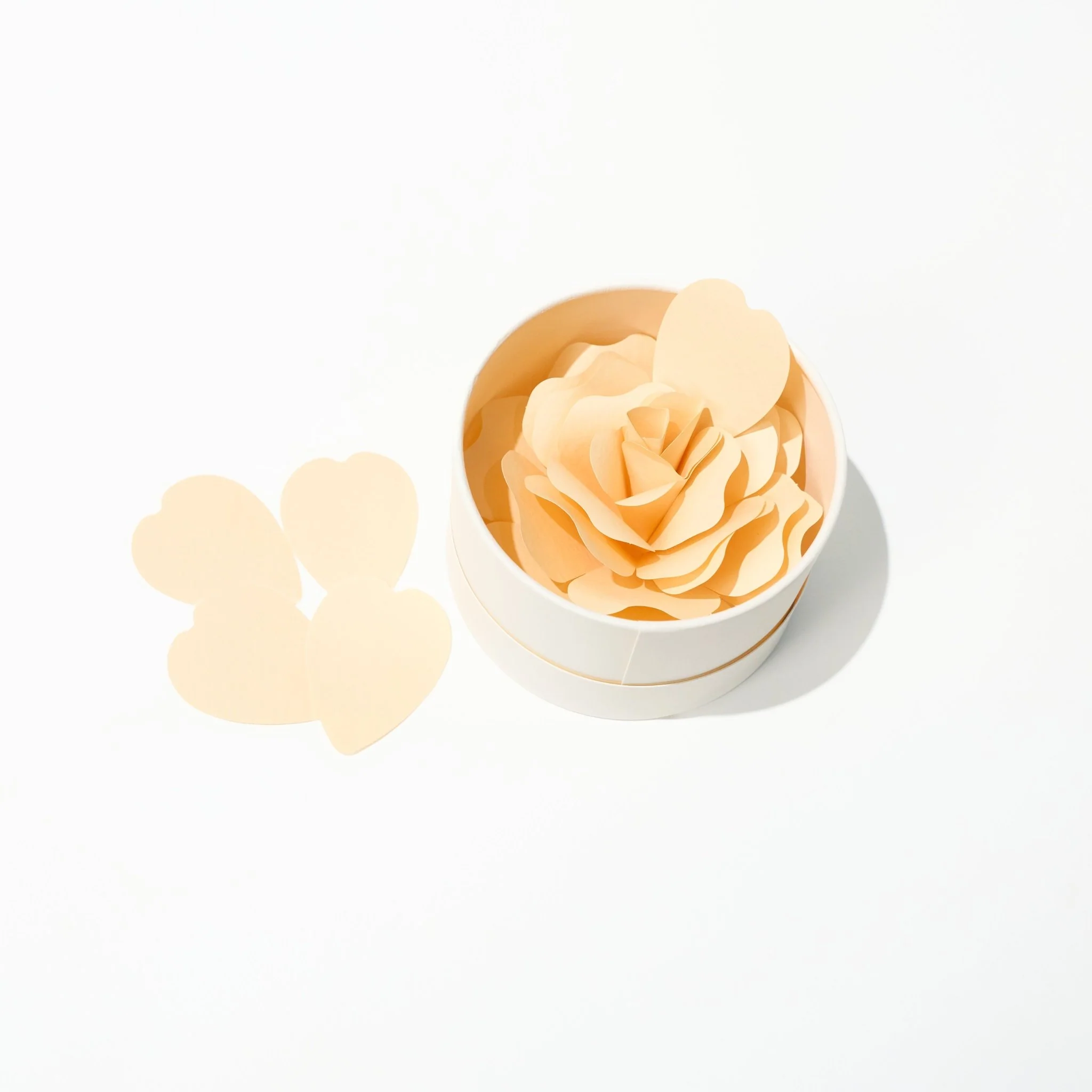 Hanafumi Paper Flower Card / archshop - Image 4