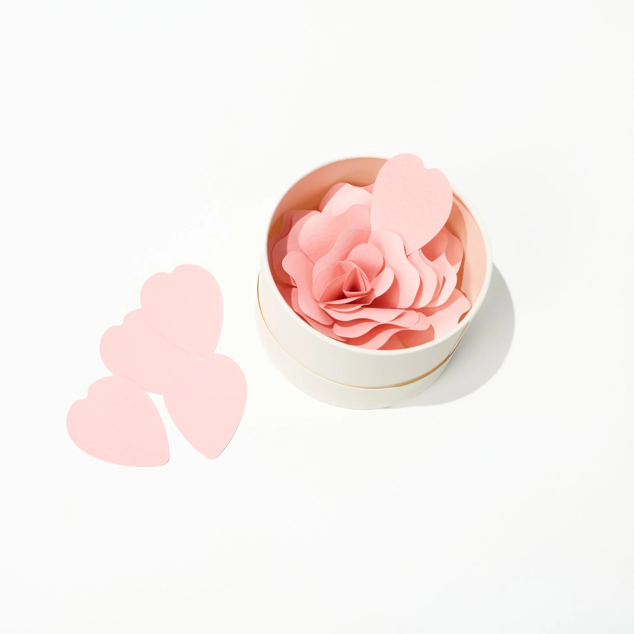 Hanafumi Paper Flower Card / archshop - Image 5