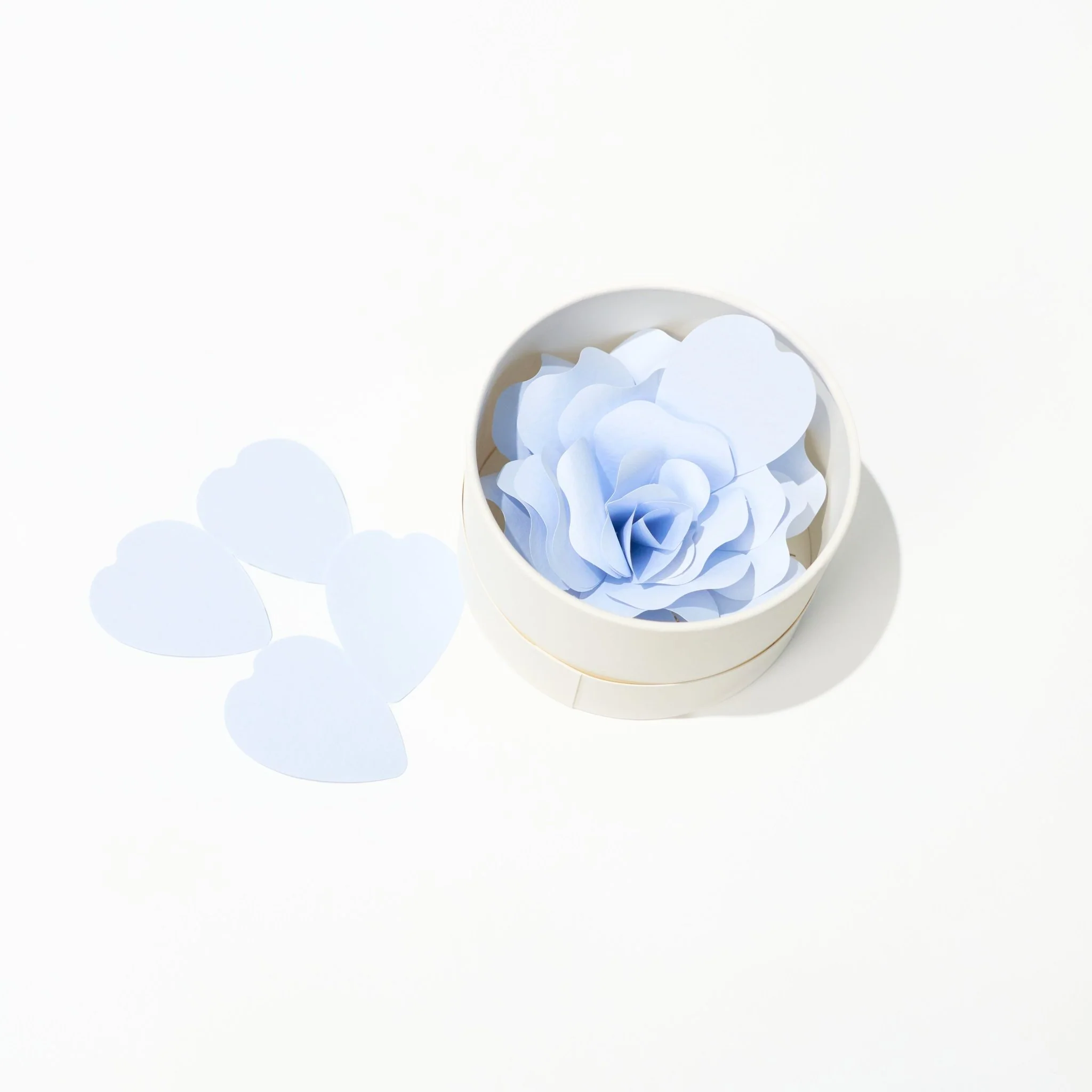 Hanafumi Paper Flower Card / archshop - Image 6