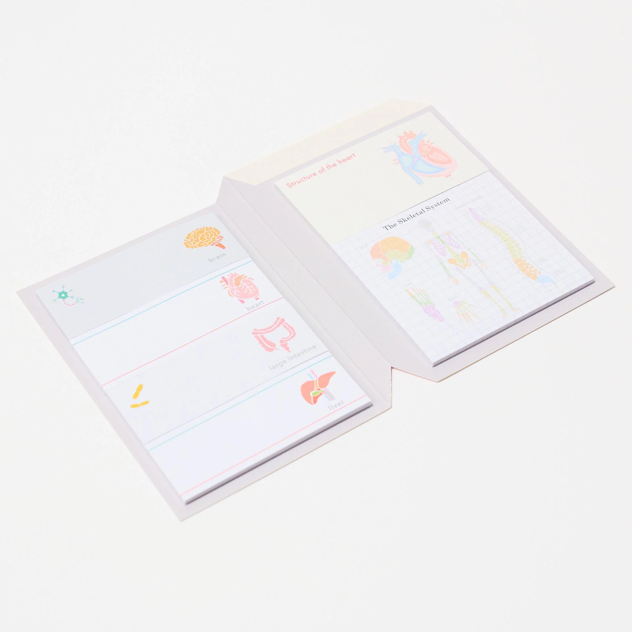 STUDY HOLIC Sticky Note Book / GreenFlash - Image 20