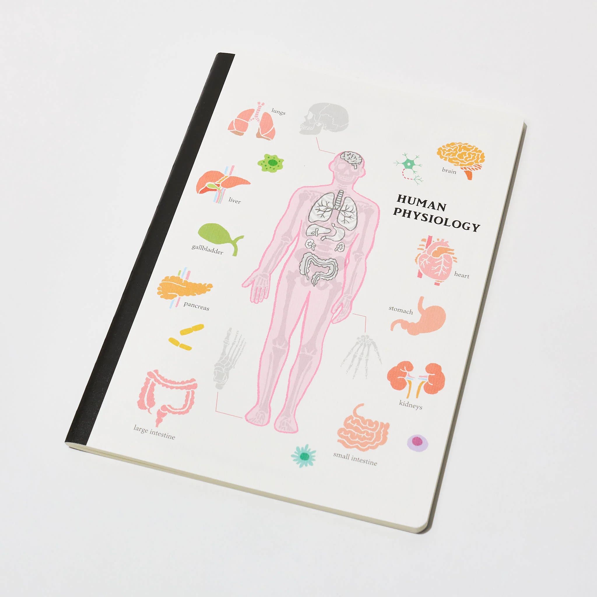 STUDY HOLIC A5 Notebook / GreenFlash - Image 9
