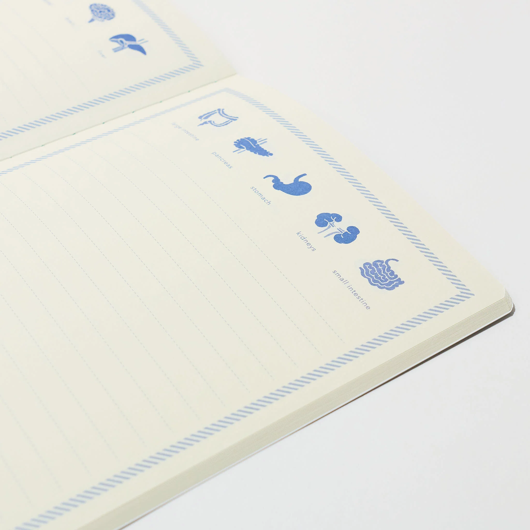 STUDY HOLIC A5 Notebook / GreenFlash - Image 16