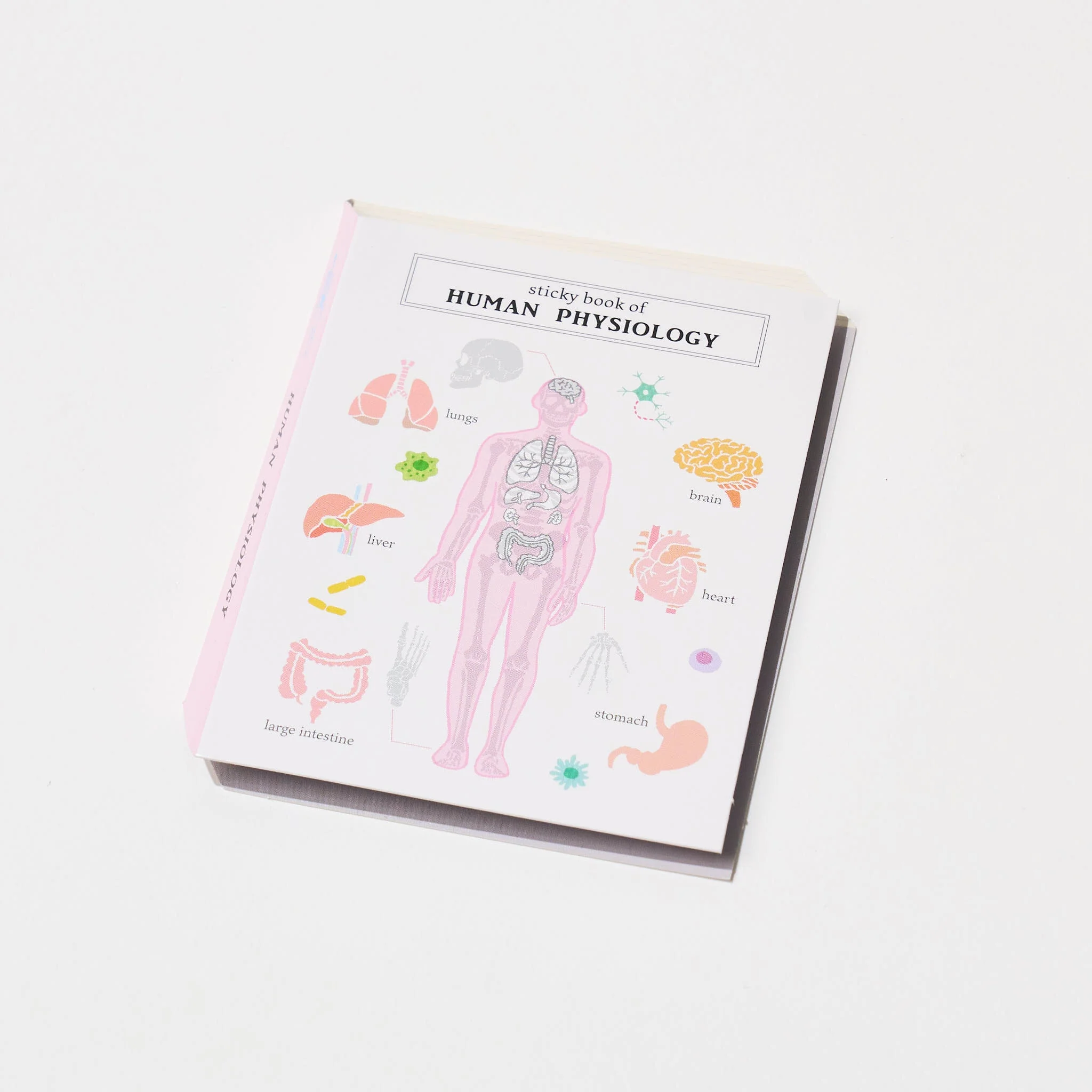 STUDY HOLIC Sticky Note Book / GreenFlash - Image 19