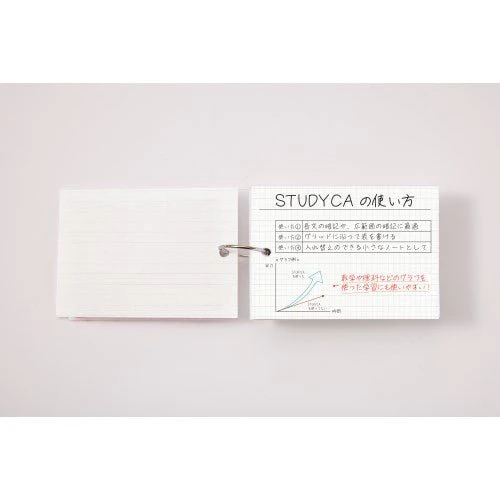Kept STUDYCA Mini Study Card / Raymay Fujii - Image 10
