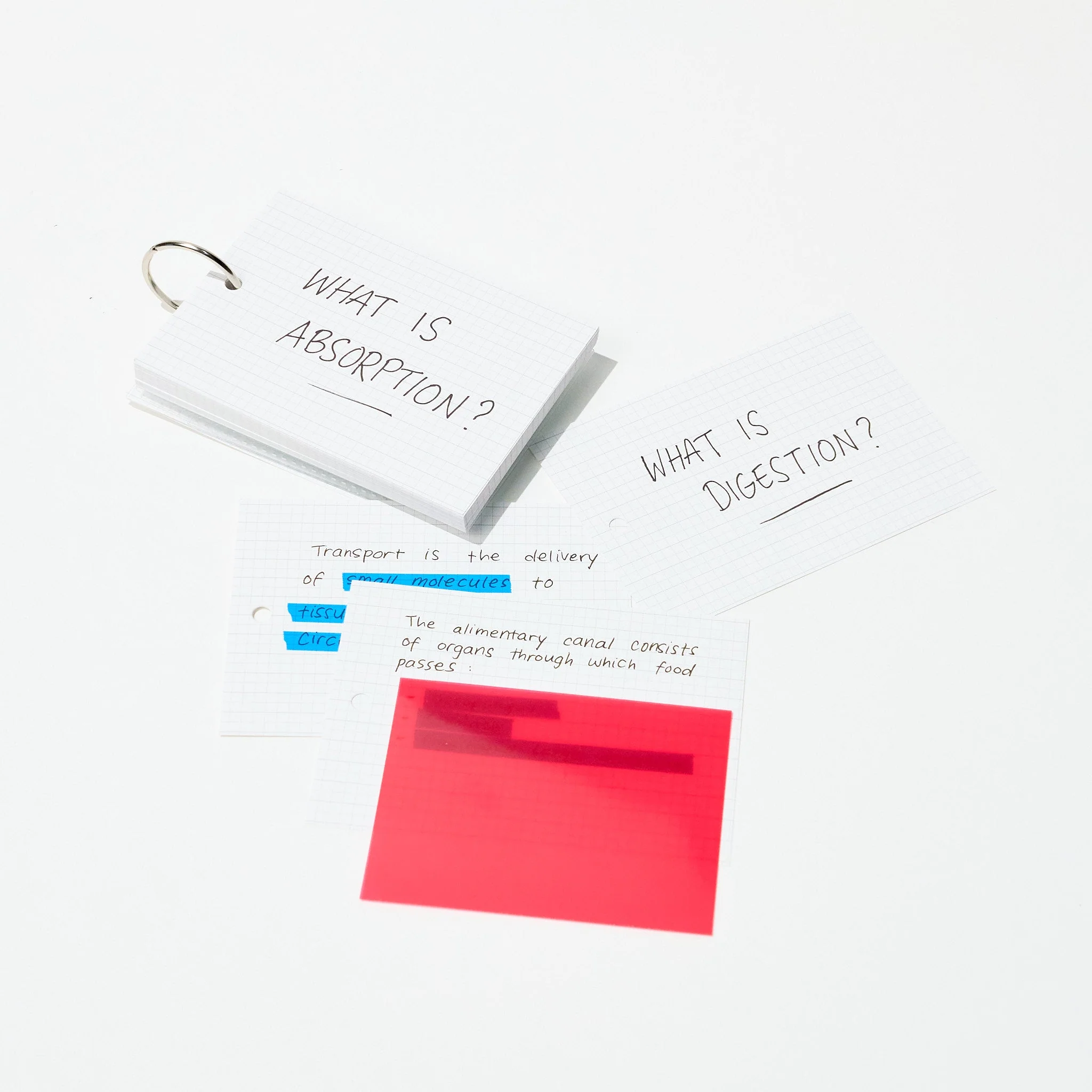 Kept STUDYCA Mini Study Card / Raymay Fujii - Image 6