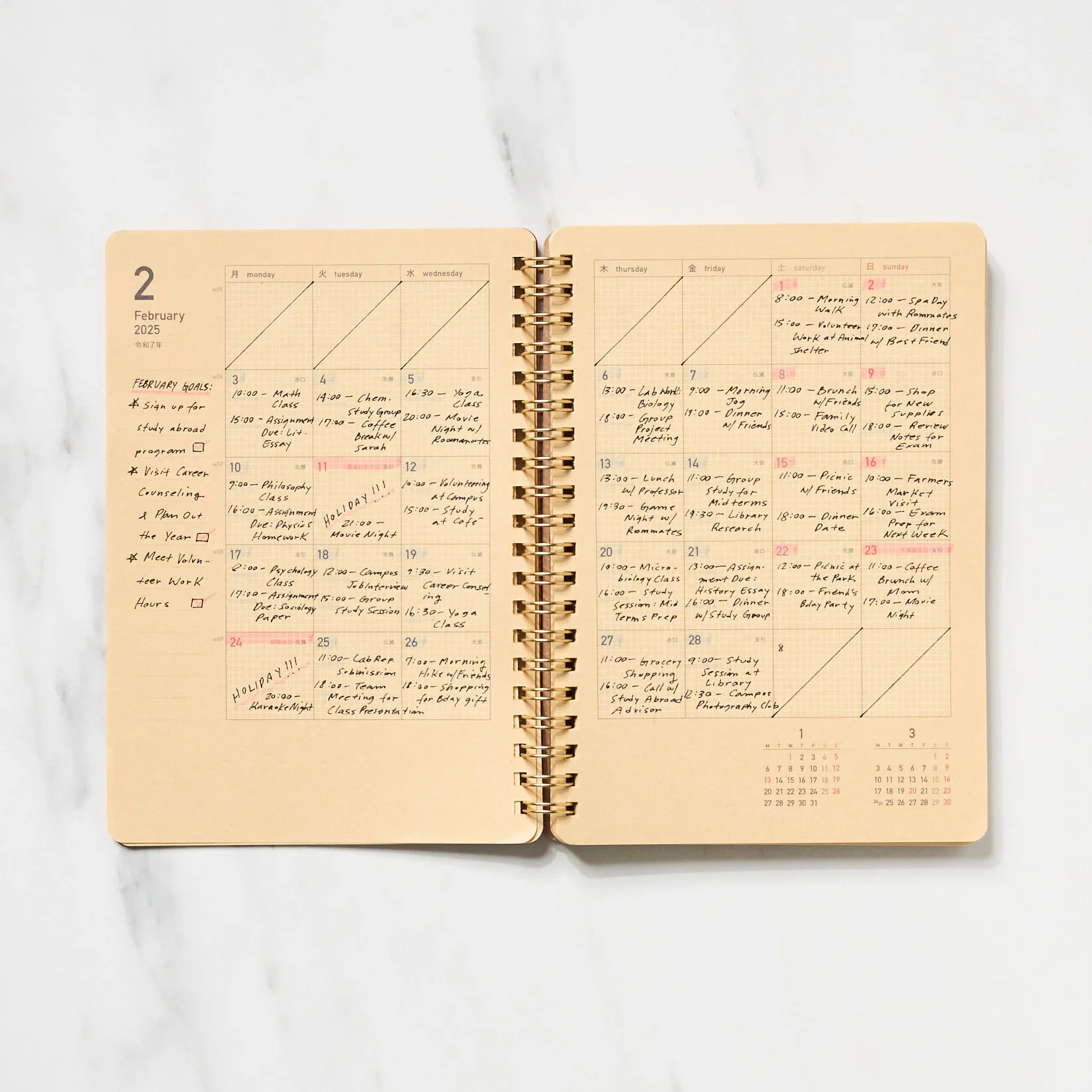 Kraft Work Diary 2025 / kleid - Image 7