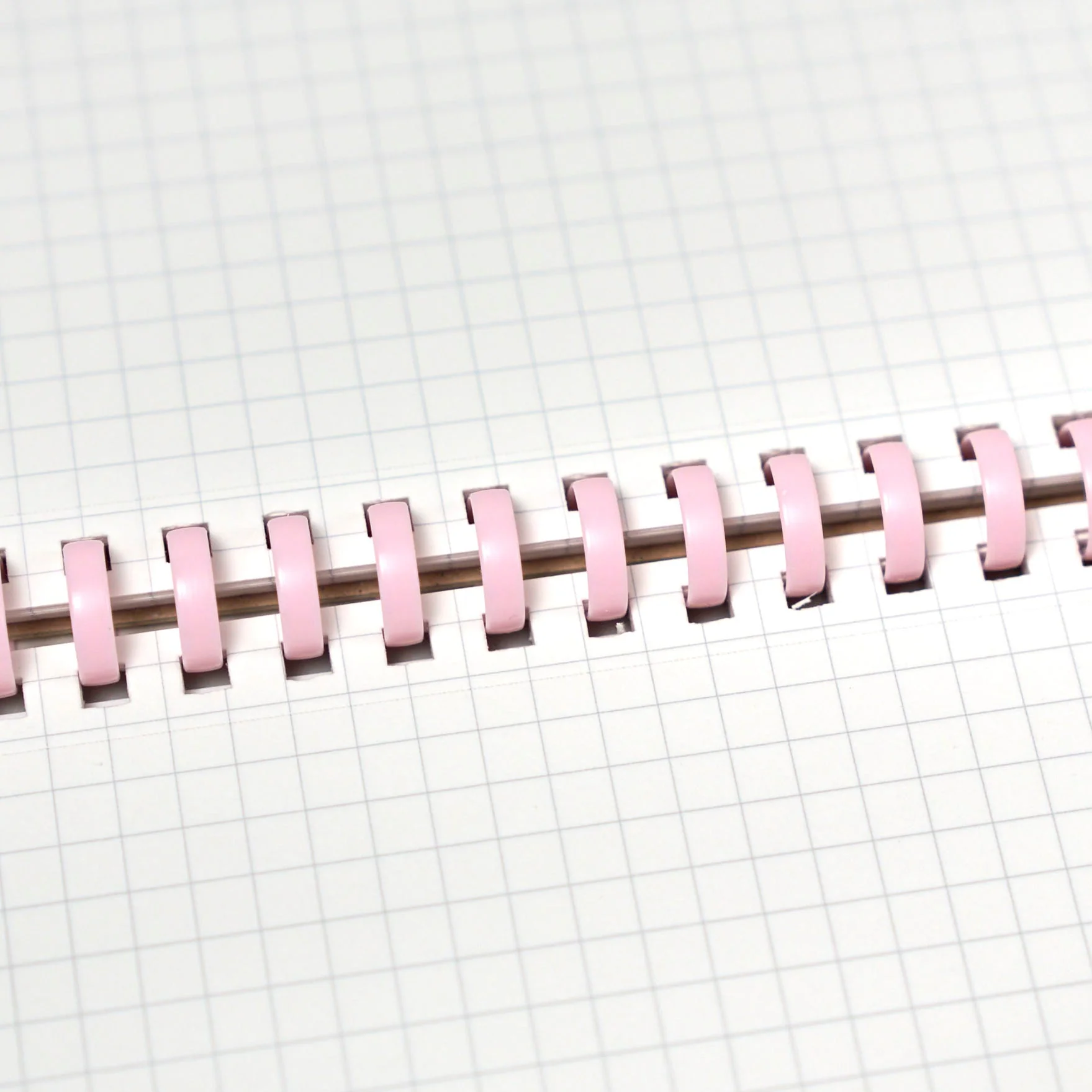 [Limited] Campus Paw Soft Ring Notebook / KOKUYO - Image 20
