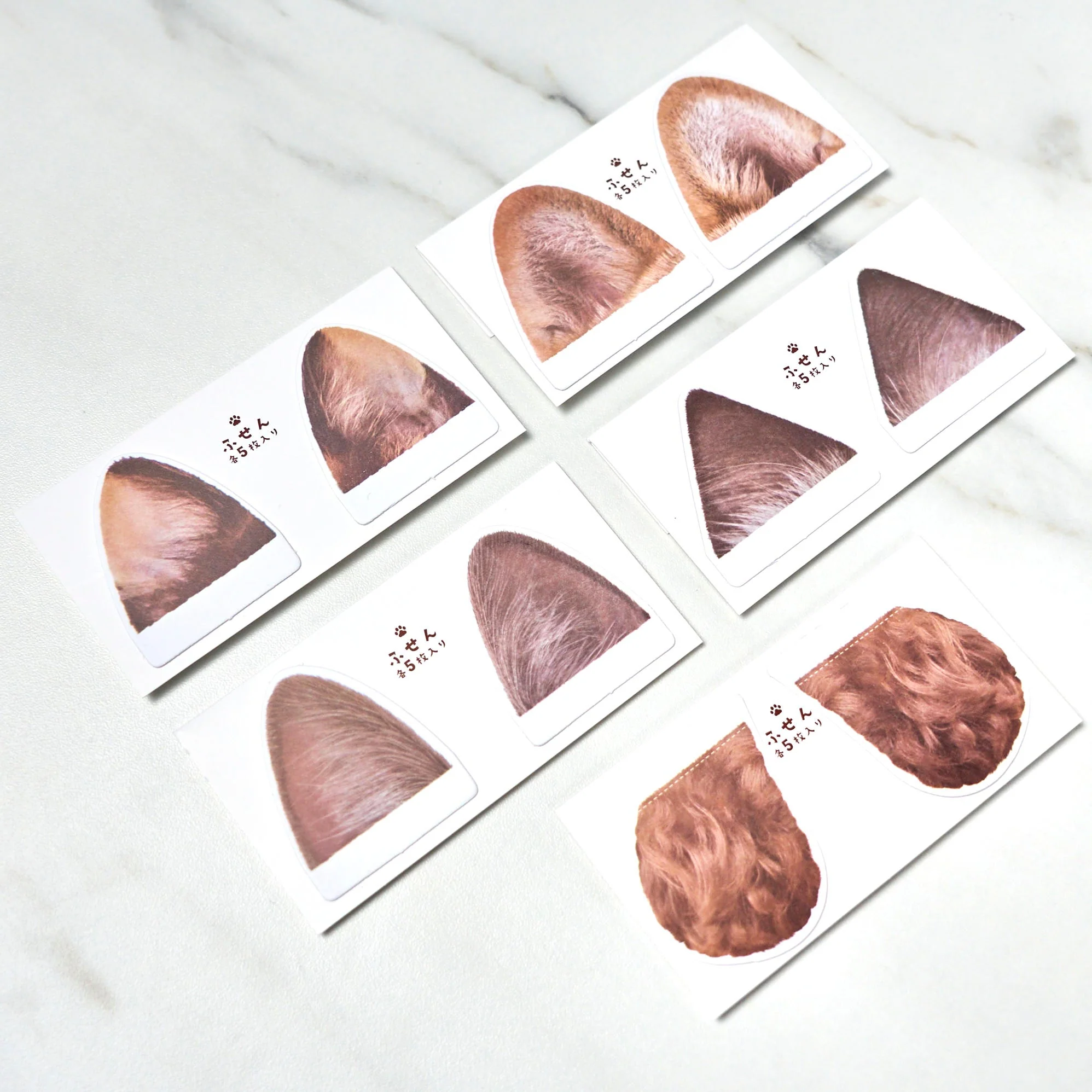 [Limited] Campus Paw Soft Ring Notebook / KOKUYO - Image 22