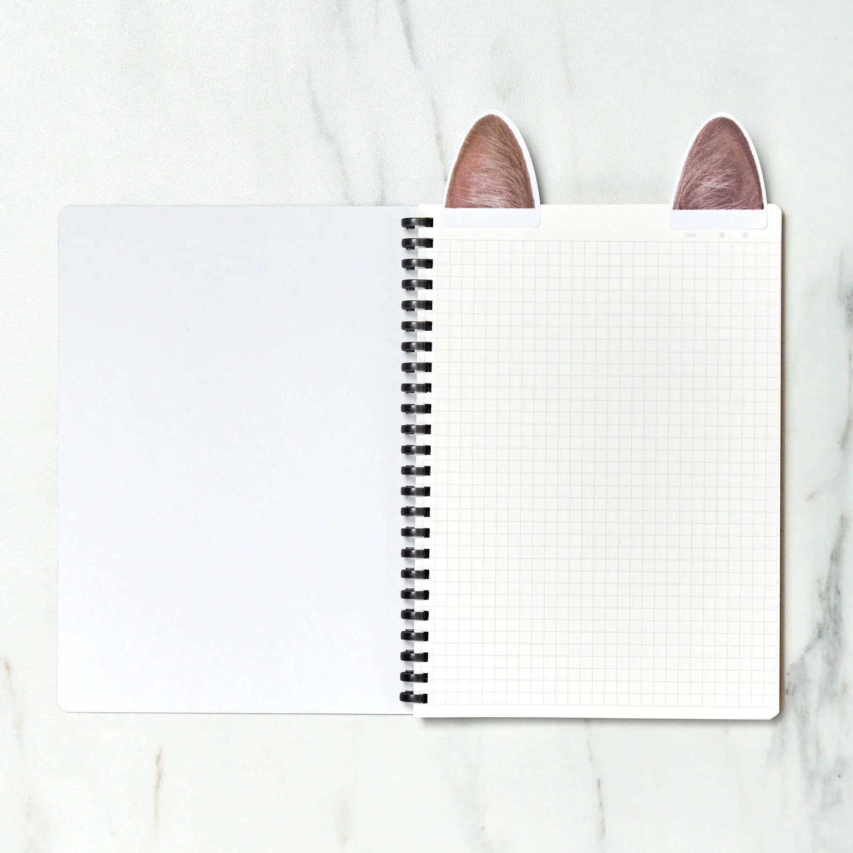[Limited] Campus Paw Soft Ring Notebook / KOKUYO - Image 6