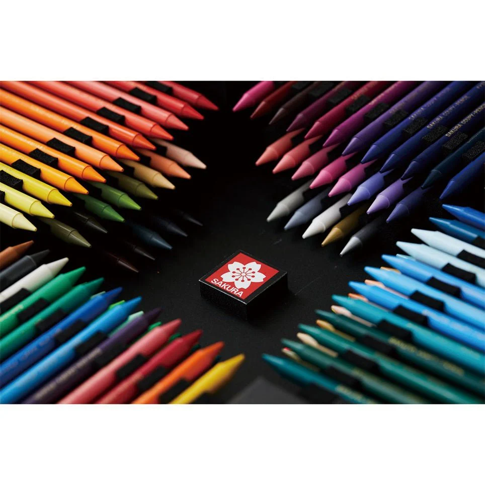 [Limited] Coupy Pencil FY100A 100 Colors Black Package Edition / SAKURA - Image 5