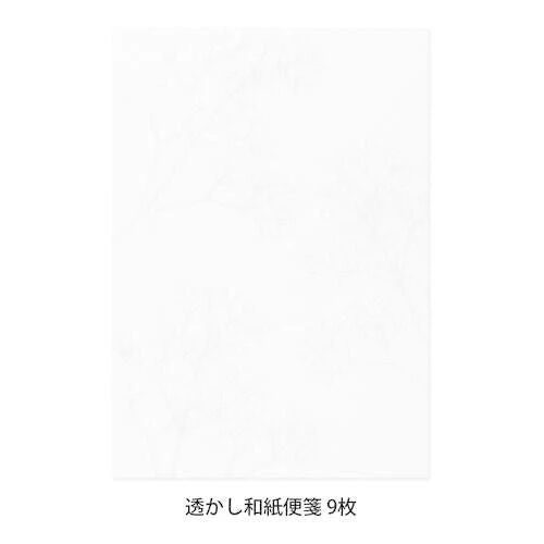 [Limited] Letter Paper A5 Watermark Echizen Washi / MIDORI - Image 14
