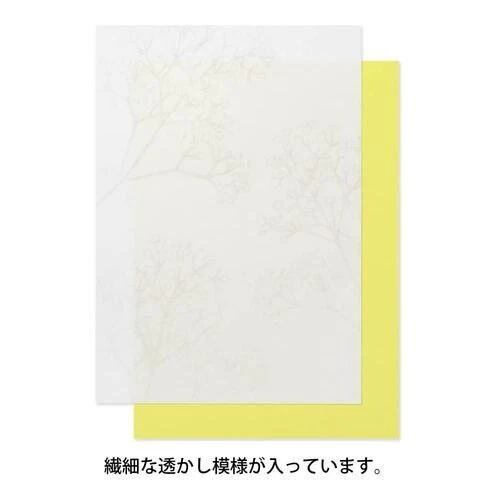 [Limited] Letter Paper A5 Watermark Echizen Washi / MIDORI - Image 16
