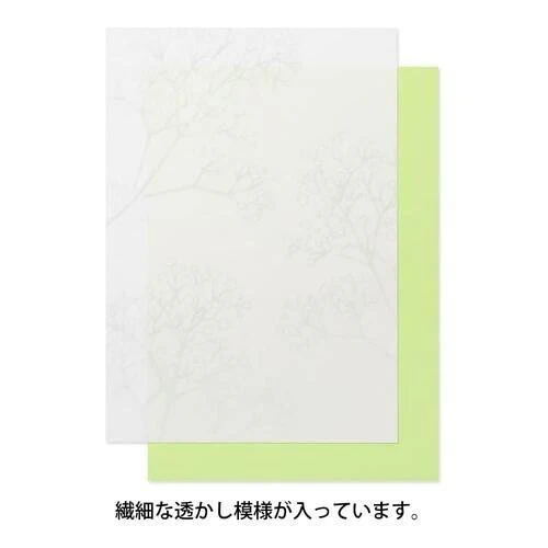 [Limited] Letter Paper A5 Watermark Echizen Washi / MIDORI - Image 17