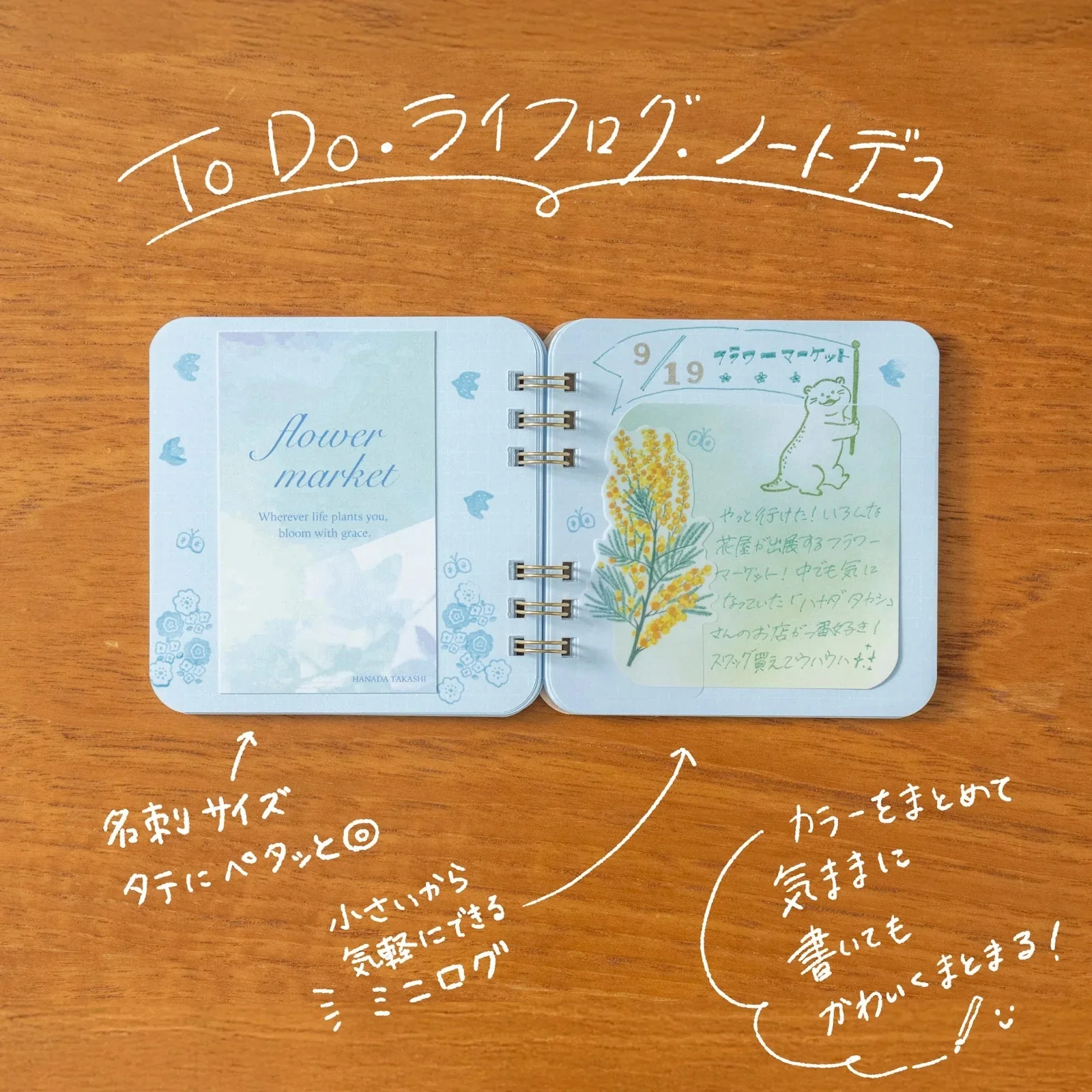 Marumi's Ring Notebook / BEVERLY - Image 19