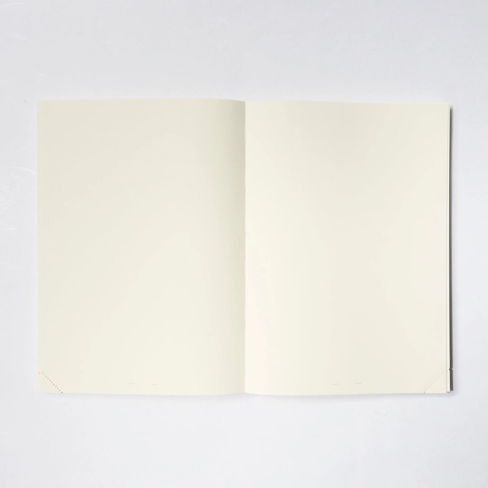 MD Notebook Journal A5 1 Day 1 Page / MIDORI - Image 2