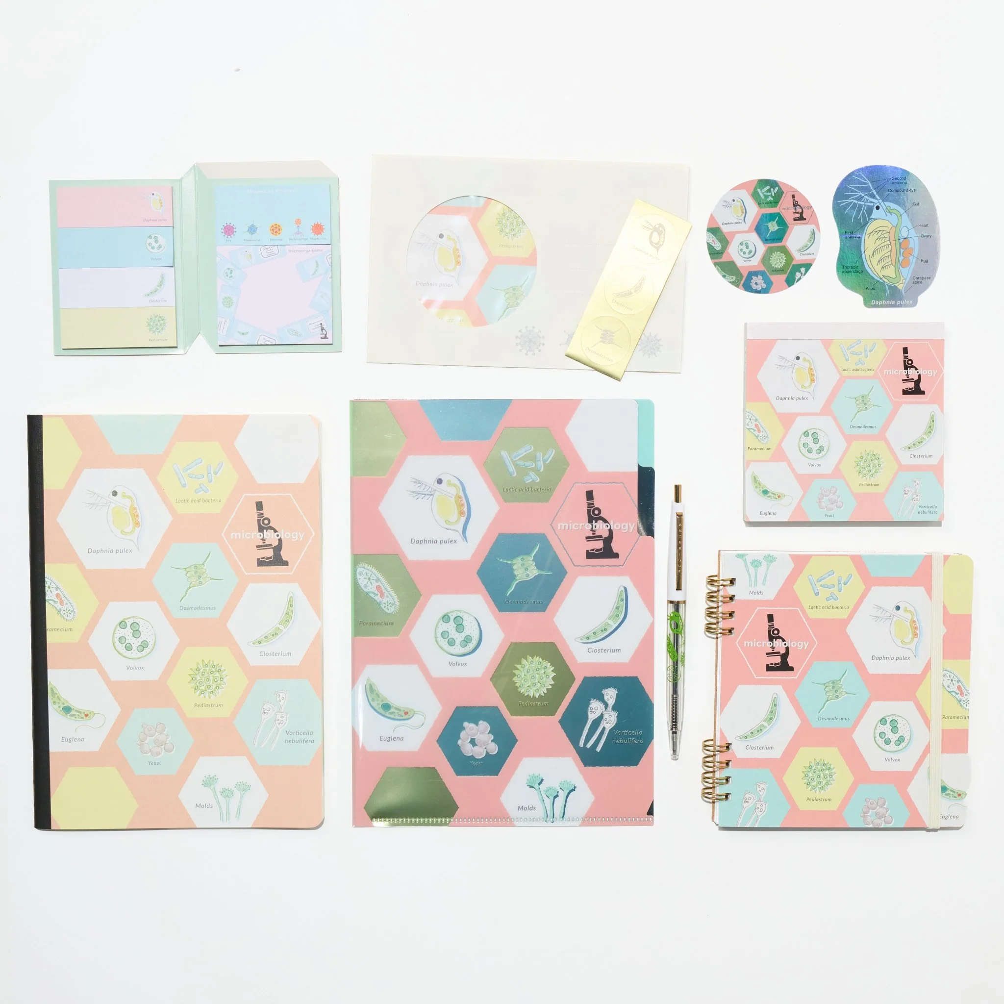 Microbiology STUDY HOLIC Bundle / GreenFlash