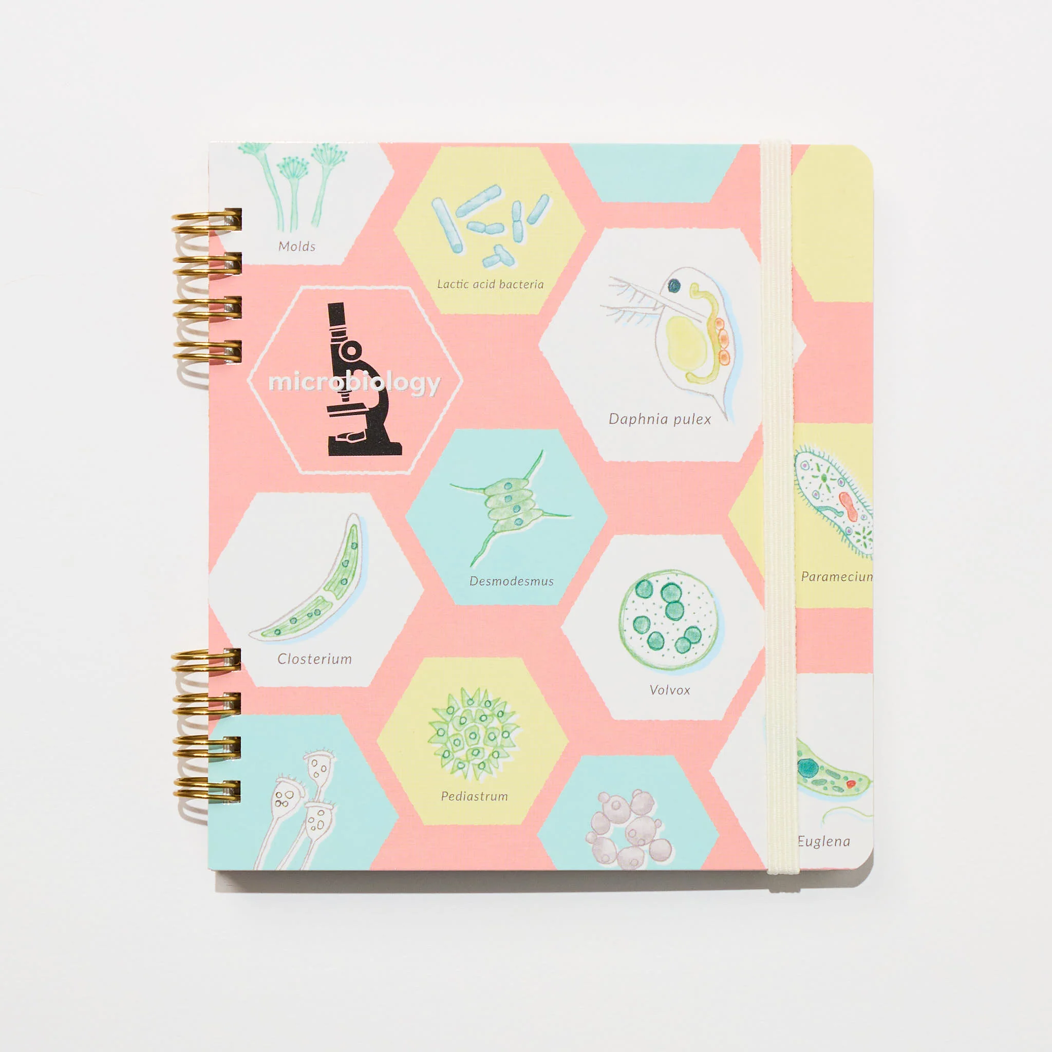 Microbiology STUDY HOLIC Bundle / GreenFlash - Image 10