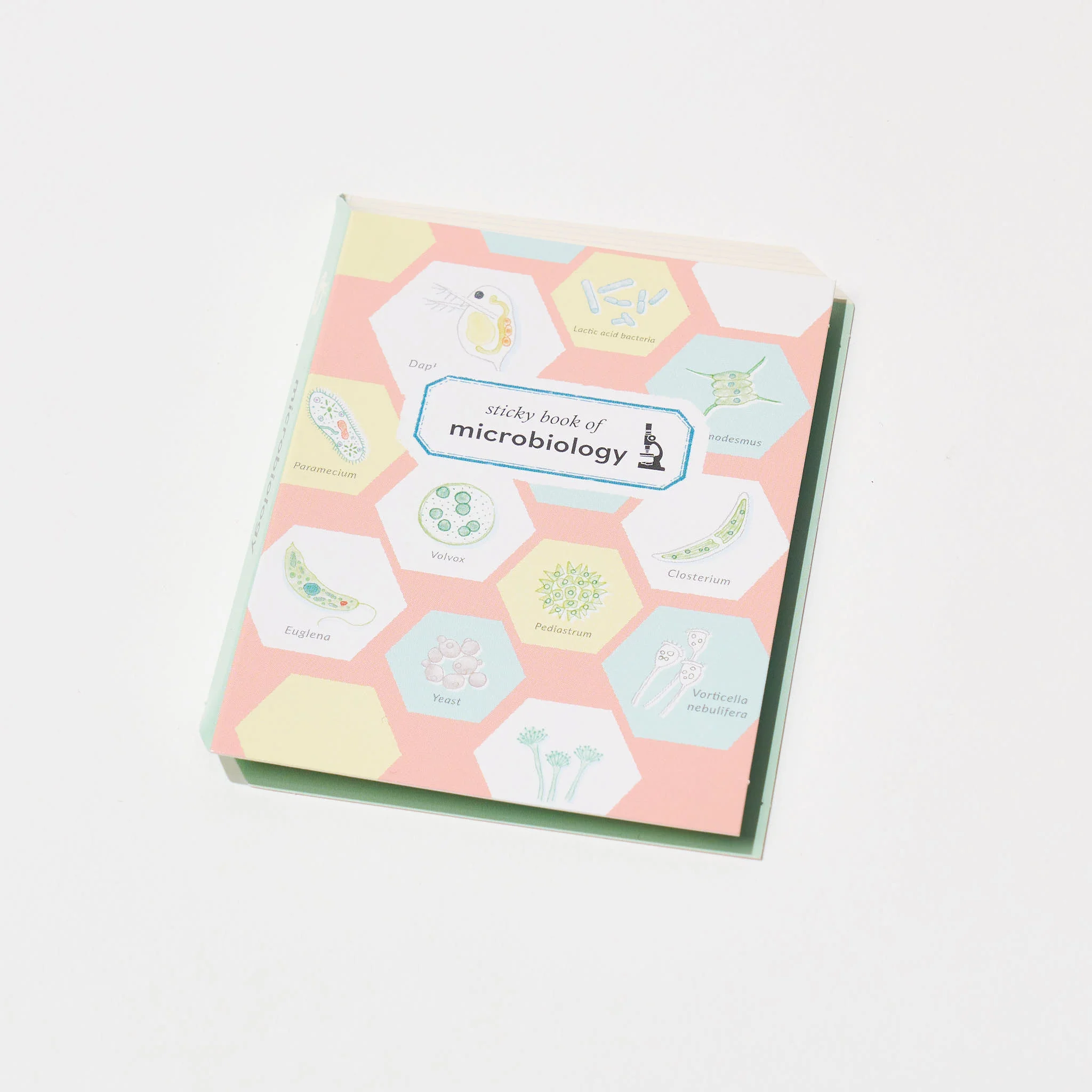 Microbiology STUDY HOLIC Bundle / GreenFlash - Image 11